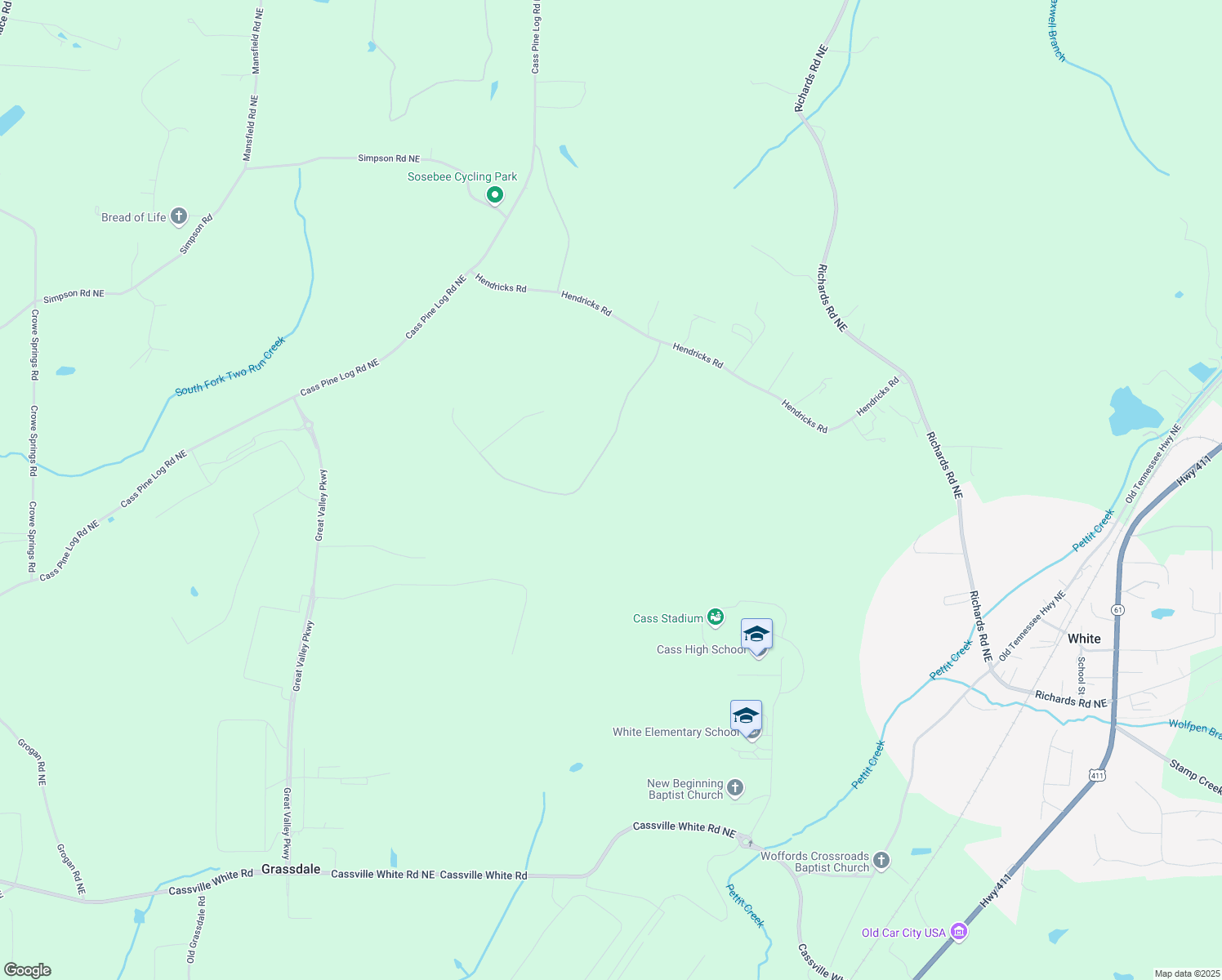 map of restaurants, bars, coffee shops, grocery stores, and more near 29 Saratoga Drive in Rydal