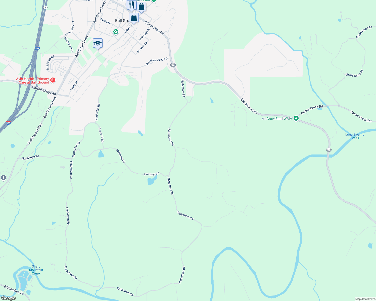 map of restaurants, bars, coffee shops, grocery stores, and more near 251 Murphy Trail in Ball Ground