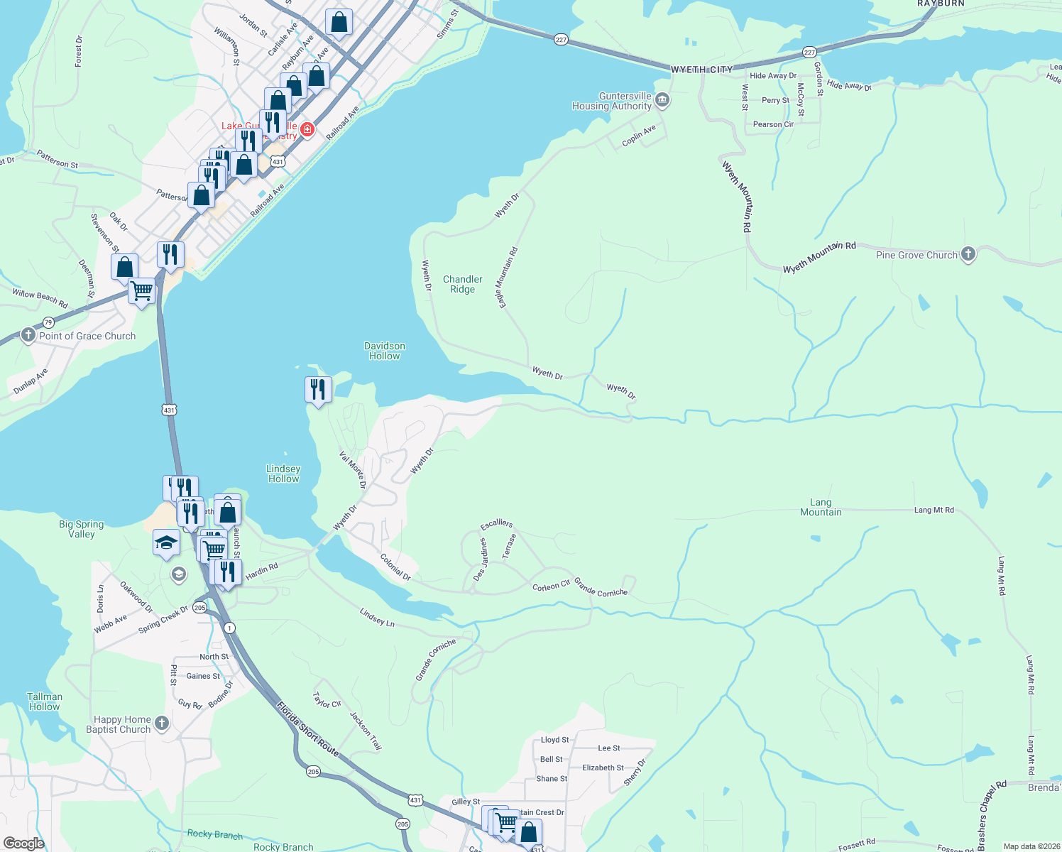 map of restaurants, bars, coffee shops, grocery stores, and more near 3317 Wyeth Drive in Guntersville