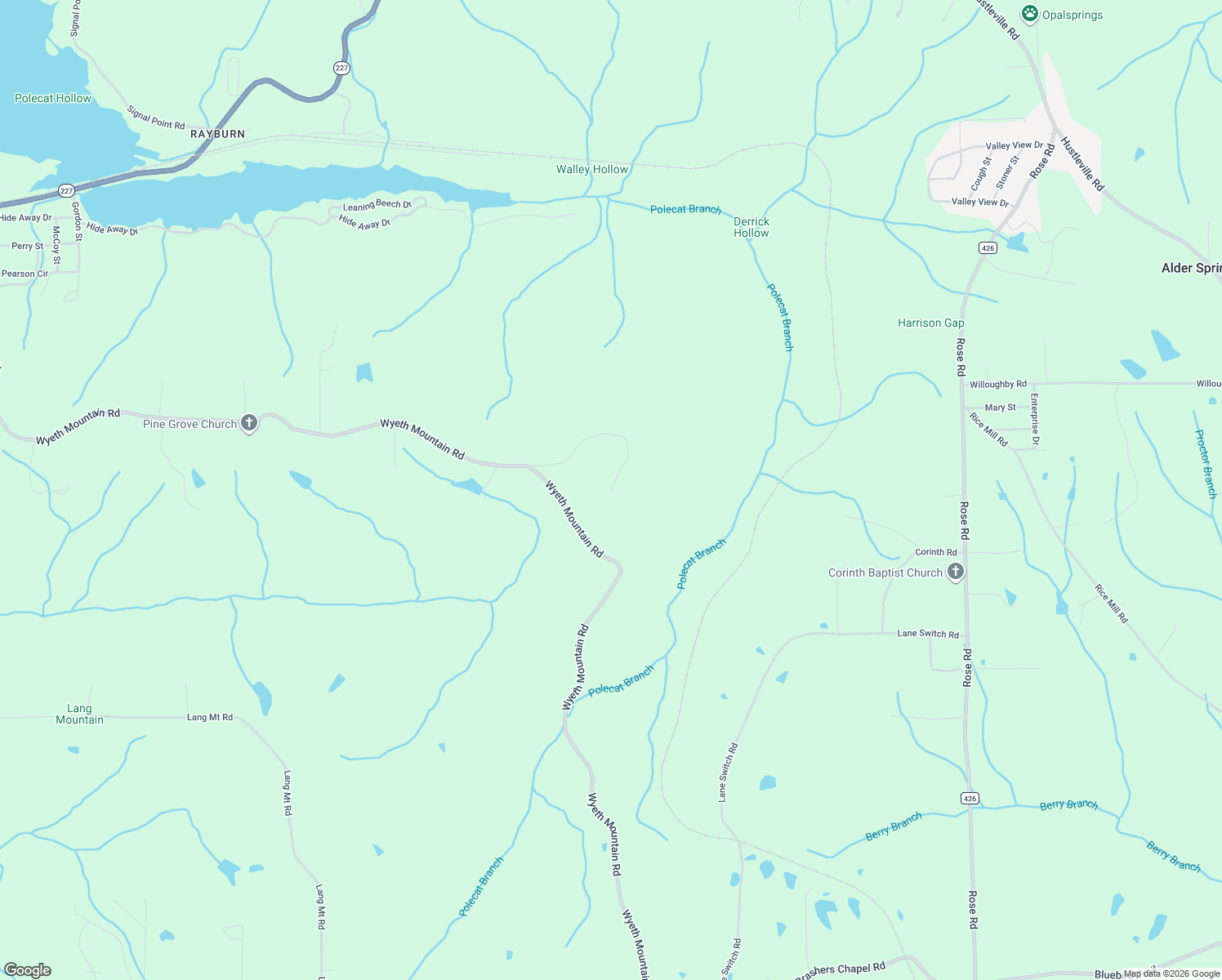map of restaurants, bars, coffee shops, grocery stores, and more near 599 Red Top Drive in Guntersville