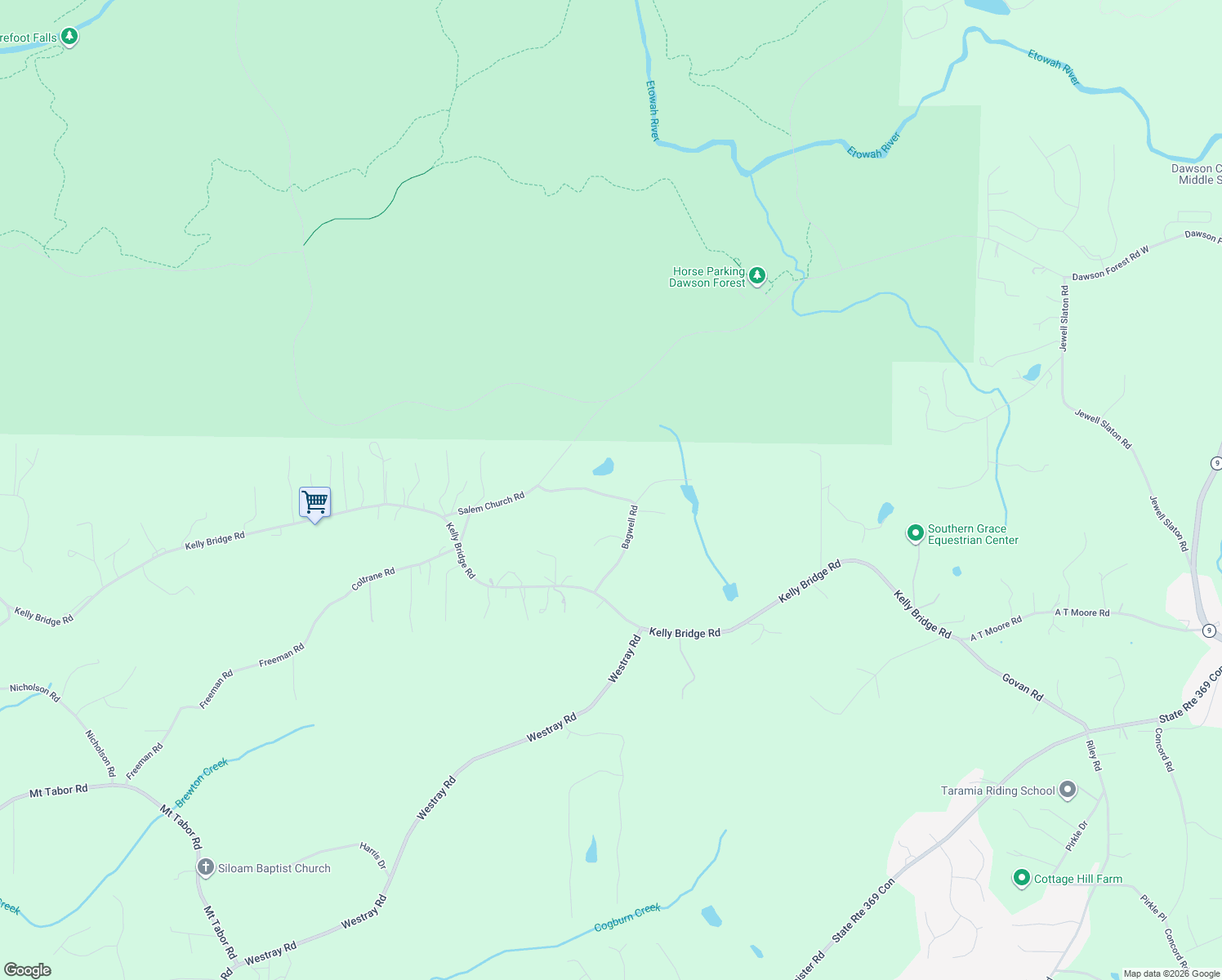 map of restaurants, bars, coffee shops, grocery stores, and more near 390 Bagwell Road in Dawsonville