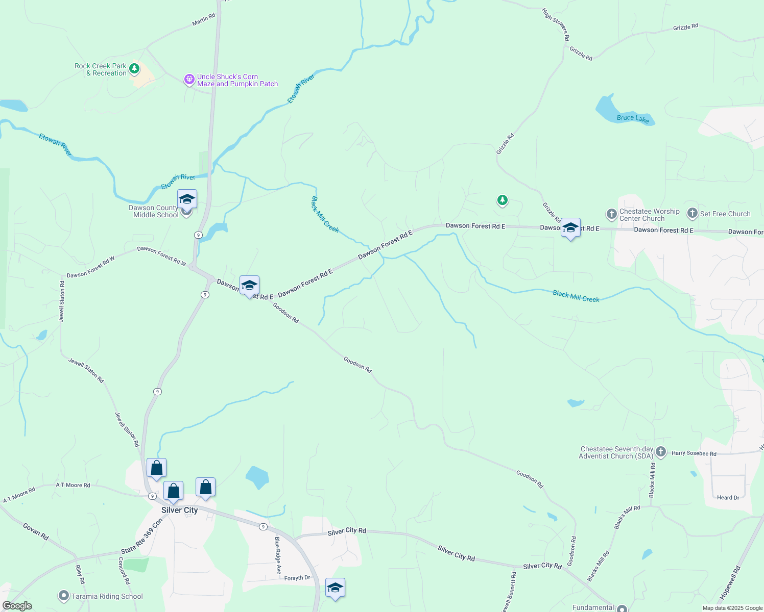 map of restaurants, bars, coffee shops, grocery stores, and more near 270 Dawson Manor Drive in Dawsonville