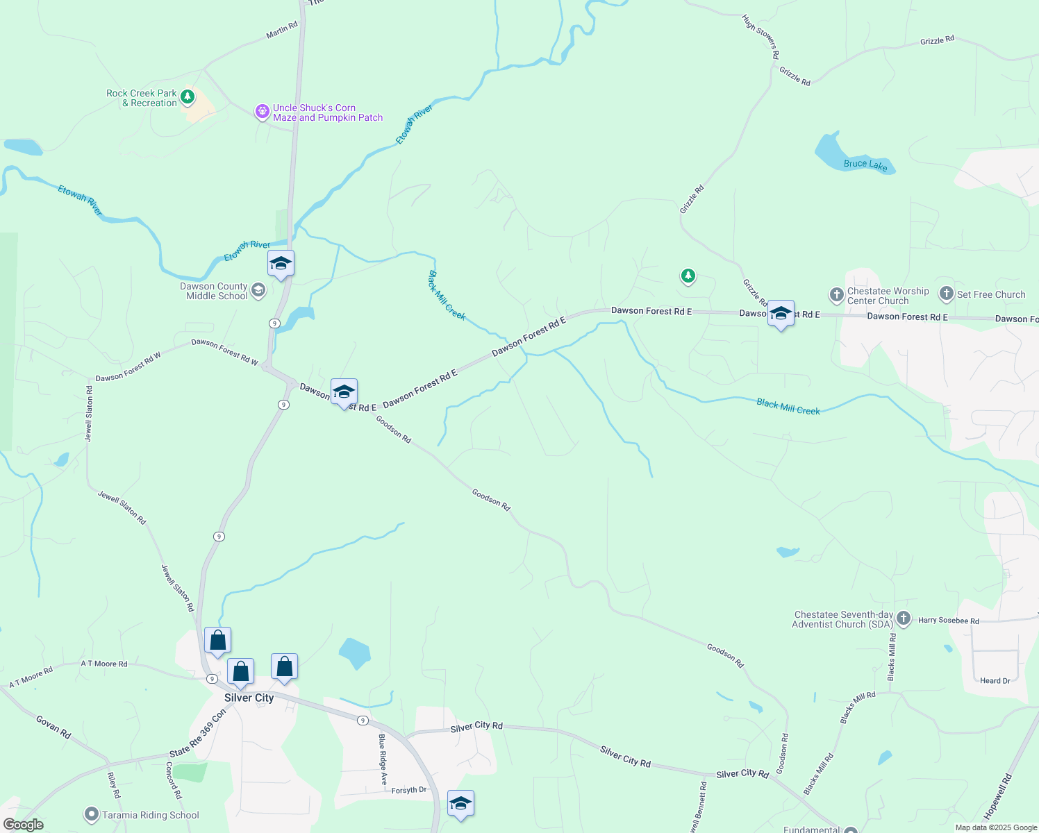 map of restaurants, bars, coffee shops, grocery stores, and more near 270 Dawson Manor Drive in Dawsonville