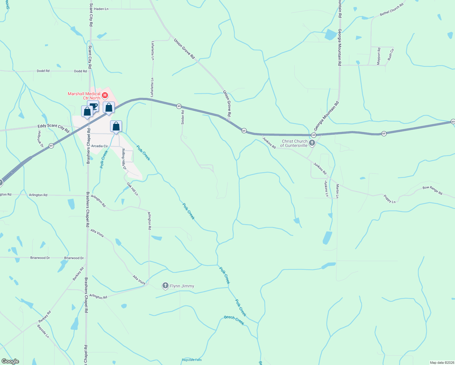 map of restaurants, bars, coffee shops, grocery stores, and more near 101 Snider Lane in Guntersville
