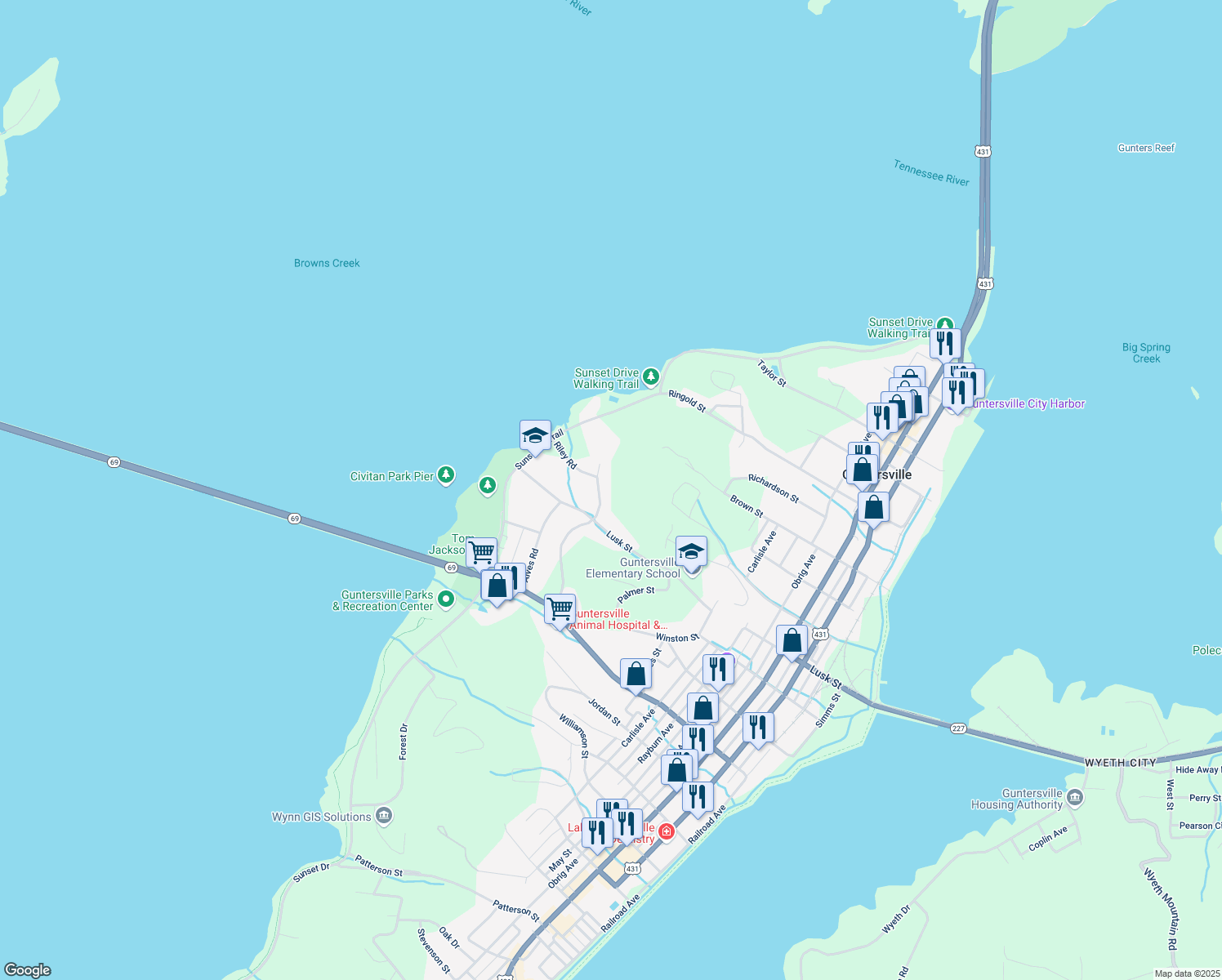 map of restaurants, bars, coffee shops, grocery stores, and more near 1009 Hillwood Drive in Guntersville