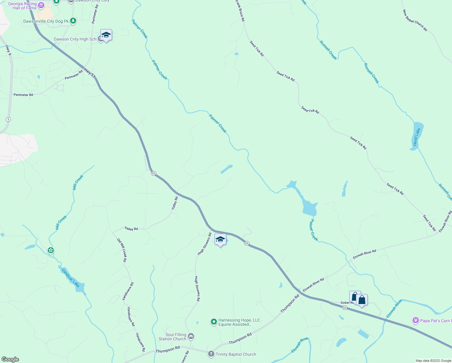 map of restaurants, bars, coffee shops, grocery stores, and more near 301 Collins Road in Dawsonville