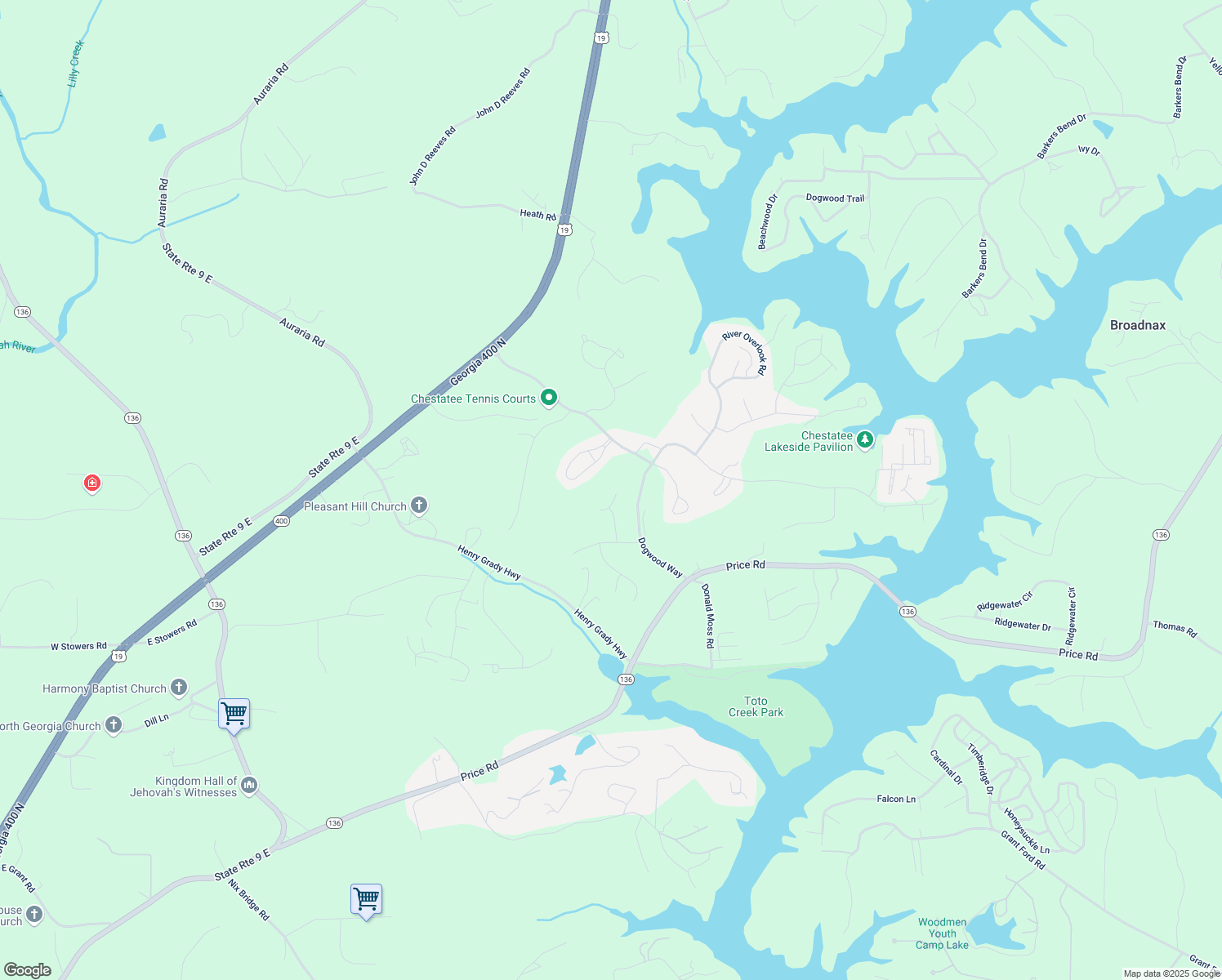 map of restaurants, bars, coffee shops, grocery stores, and more near 45 Fieldstone Court in Dawsonville