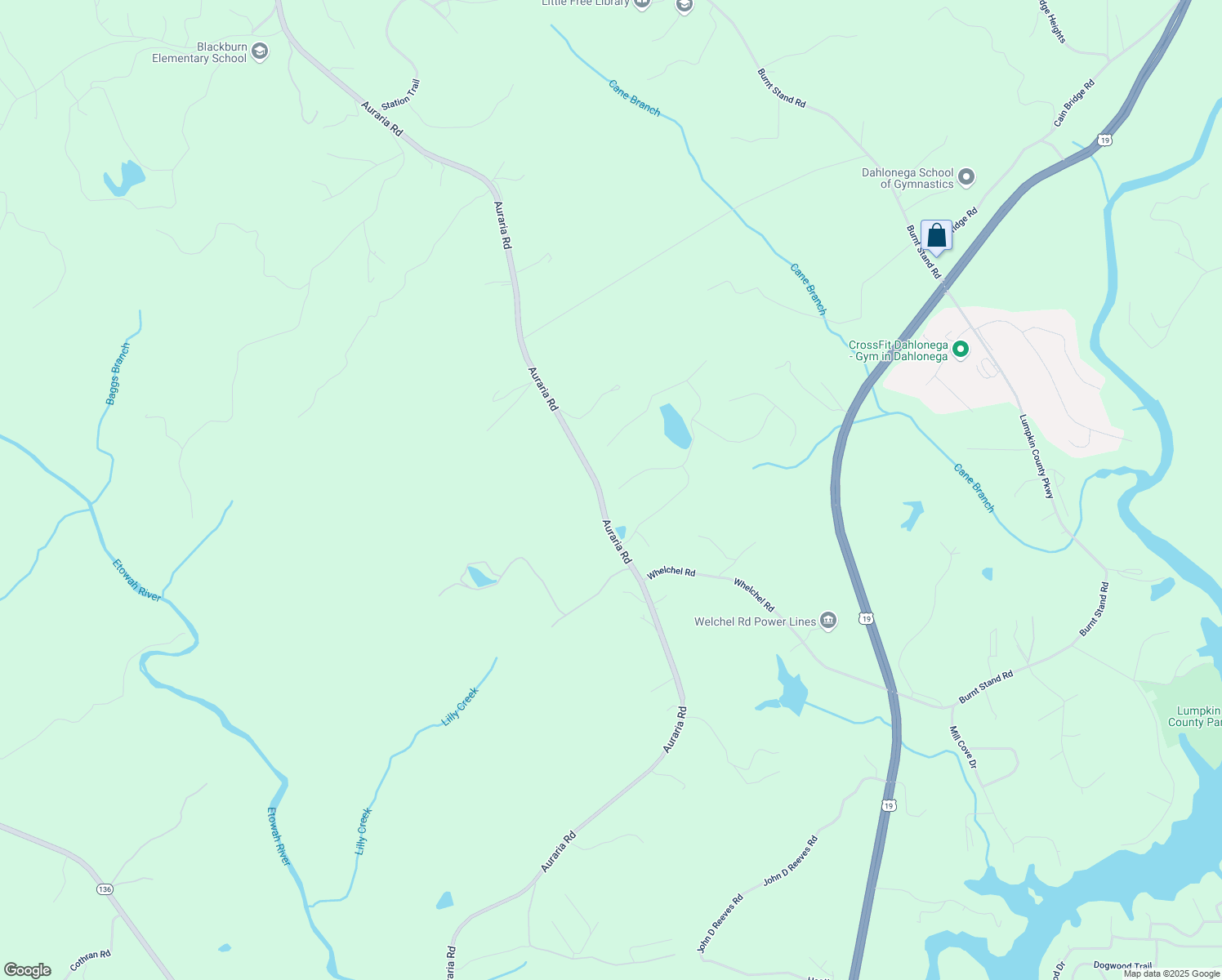 map of restaurants, bars, coffee shops, grocery stores, and more near 218 Whelchel Valley Drive in Dawsonville