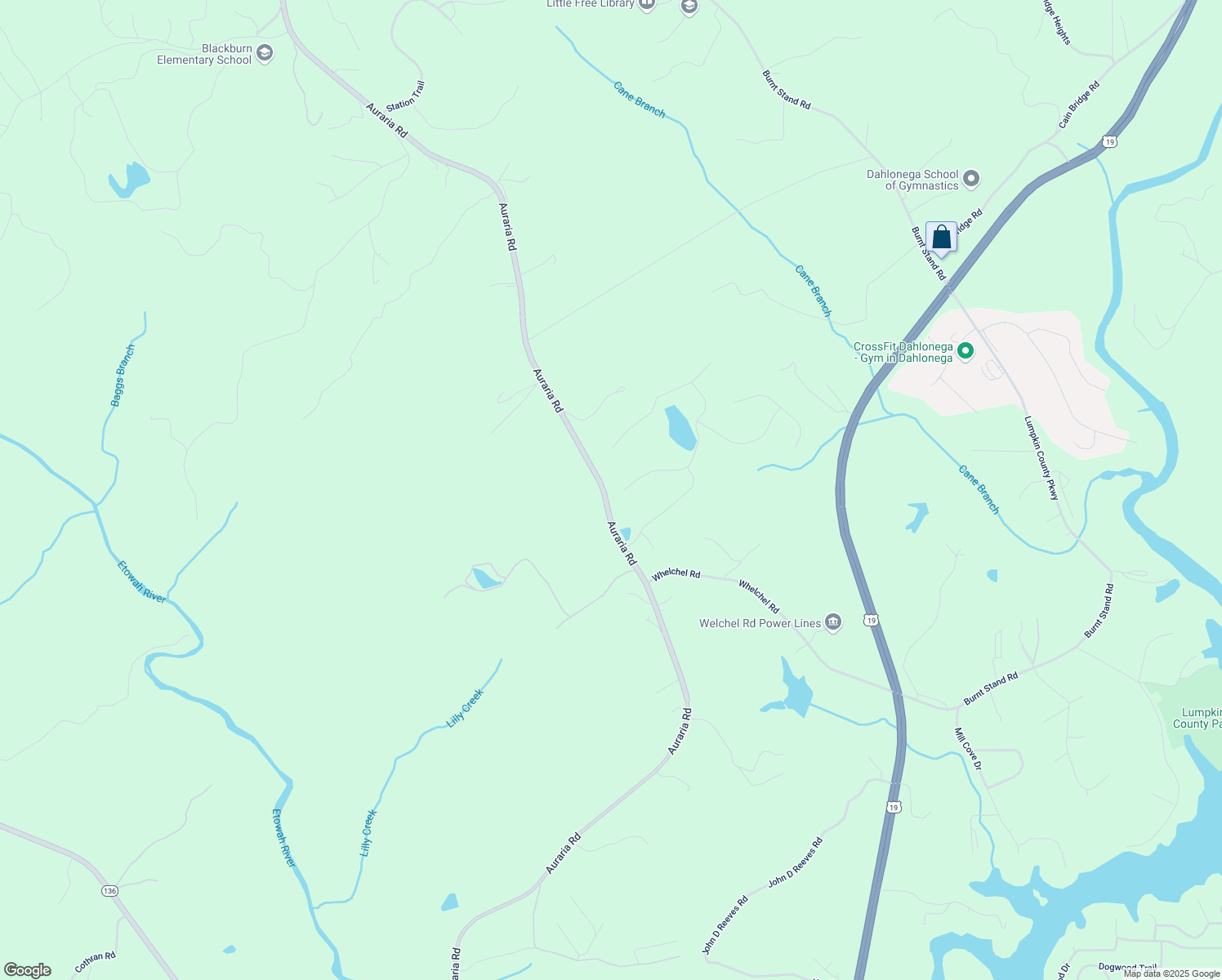 map of restaurants, bars, coffee shops, grocery stores, and more near 218 Whelchel Valley Drive in Dawsonville
