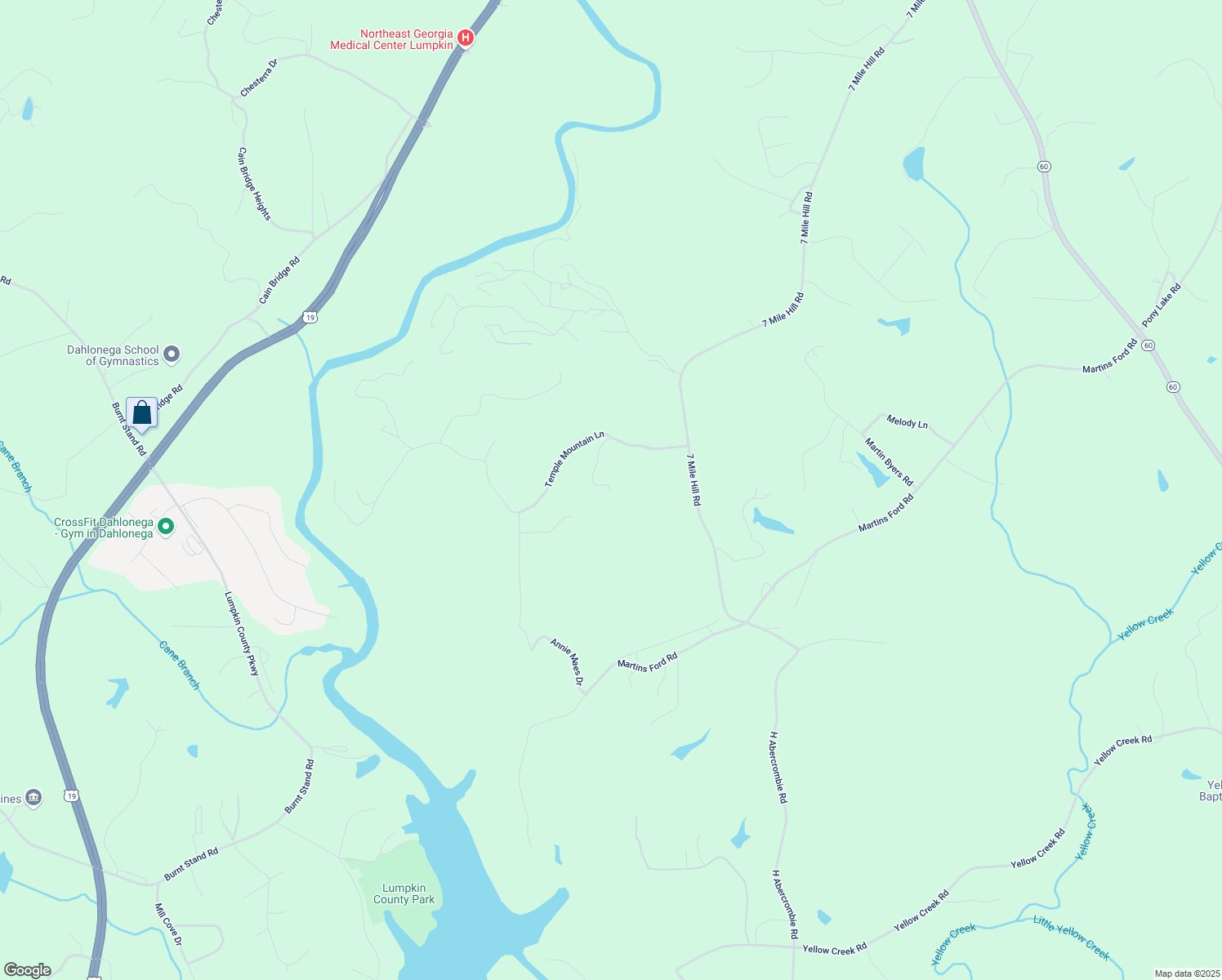 map of restaurants, bars, coffee shops, grocery stores, and more near 299 Temple Drive in Dahlonega