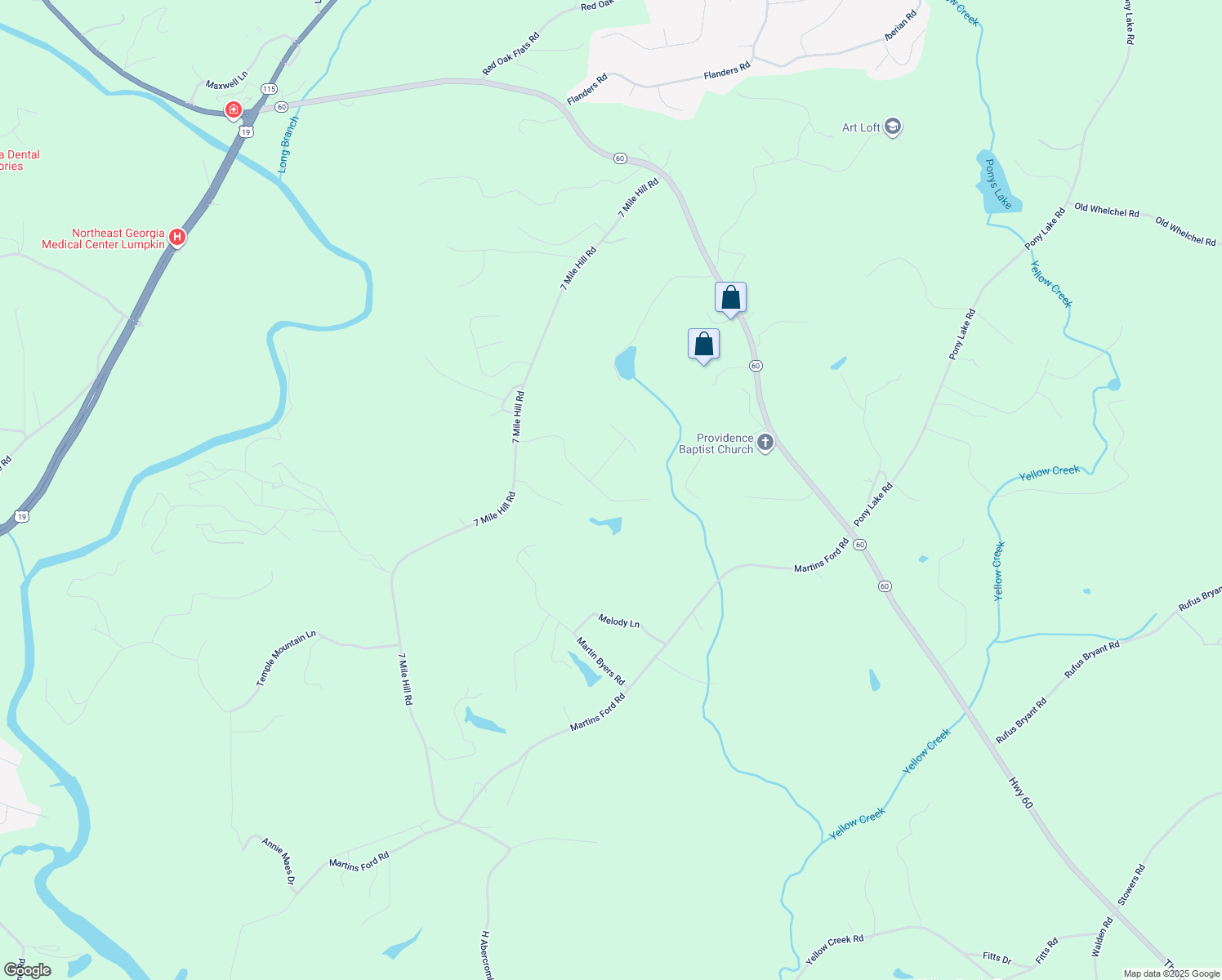 map of restaurants, bars, coffee shops, grocery stores, and more near 393 Lake Laurel Drive in Dahlonega