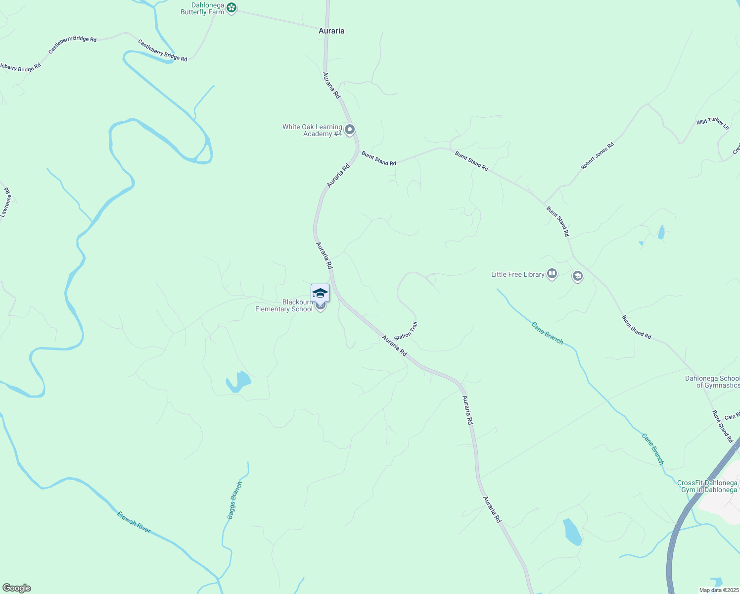 map of restaurants, bars, coffee shops, grocery stores, and more near 226 Nuckolls Lane in Dawsonville