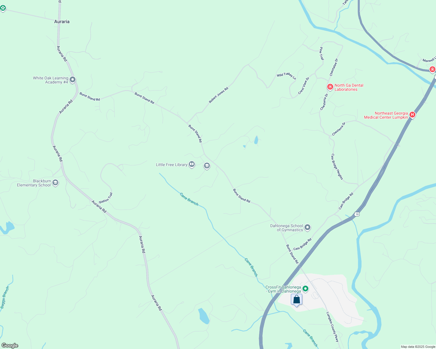 map of restaurants, bars, coffee shops, grocery stores, and more near 89 Shadow Hills Lane in Dawsonville