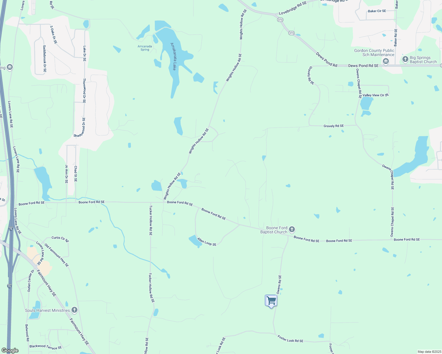 map of restaurants, bars, coffee shops, grocery stores, and more near 161 Granny Smith Drive Southeast in Calhoun