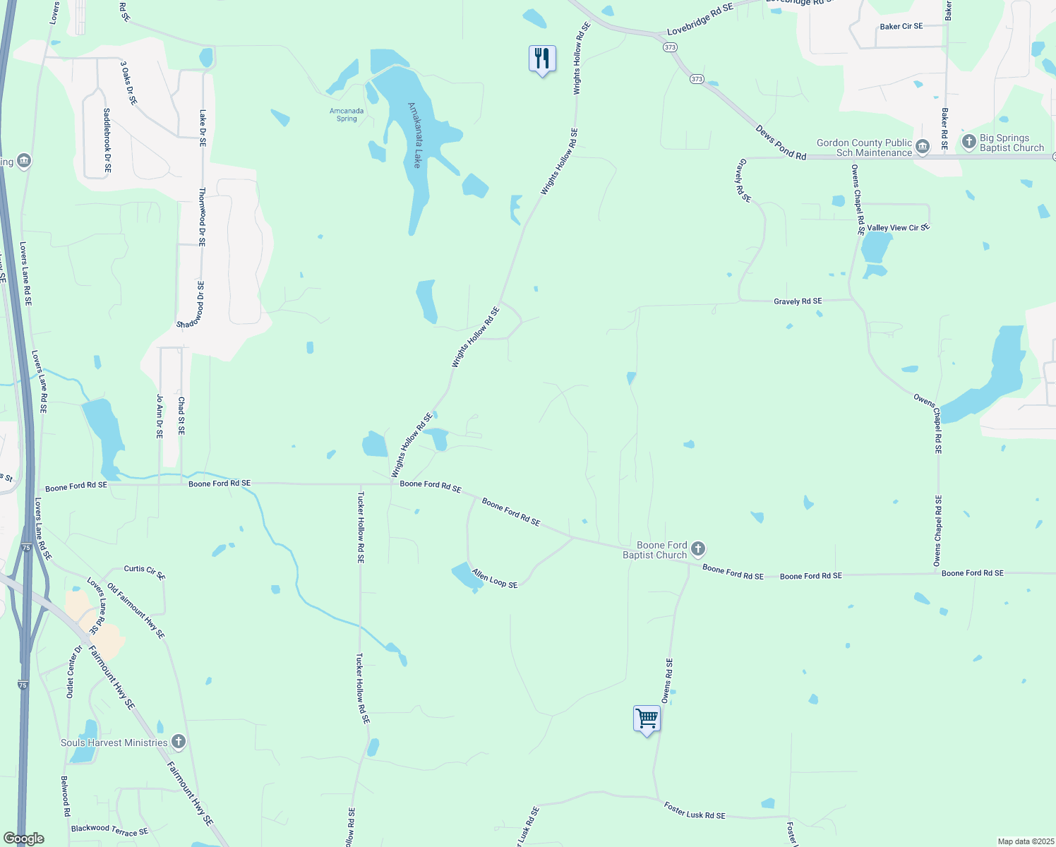 map of restaurants, bars, coffee shops, grocery stores, and more near 161 Granny Smith Drive Southeast in Calhoun