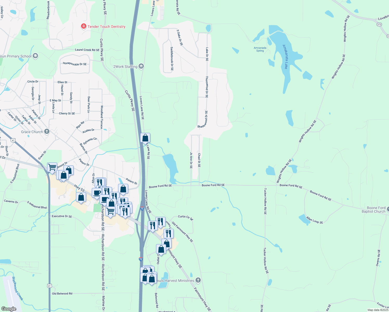 map of restaurants, bars, coffee shops, grocery stores, and more near 249 Jo Ann Drive Southeast in Calhoun