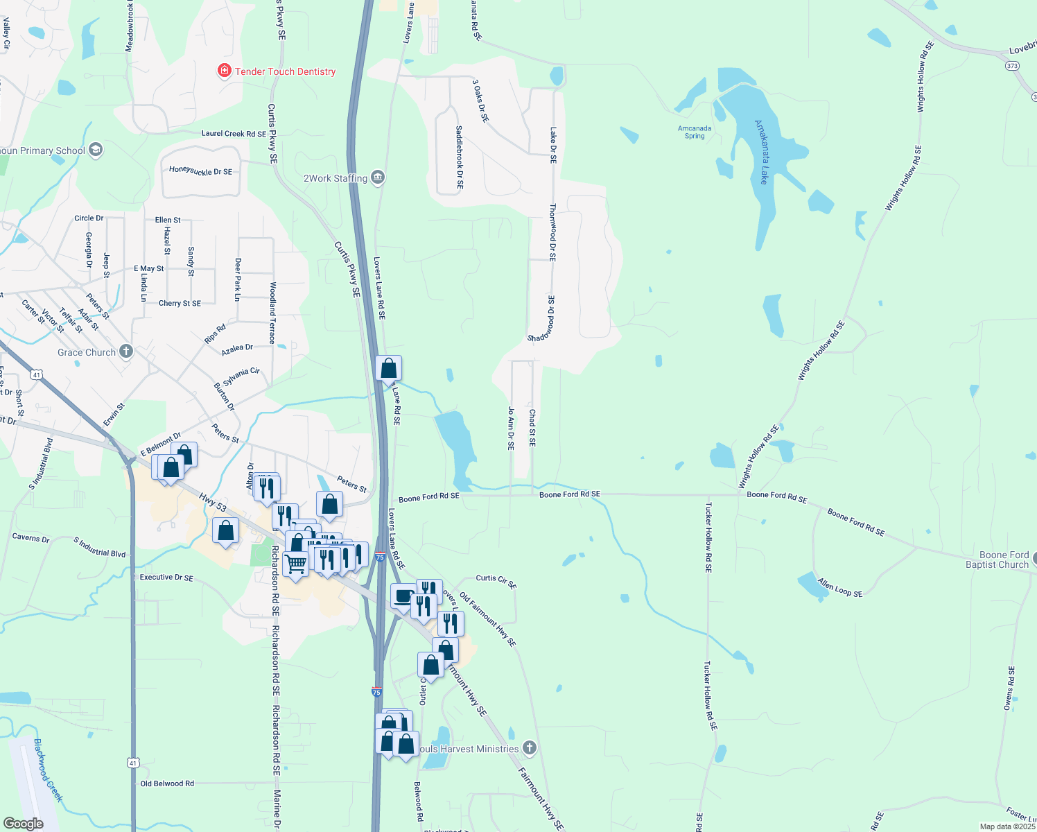 map of restaurants, bars, coffee shops, grocery stores, and more near 249 Jo Ann Drive Southeast in Calhoun