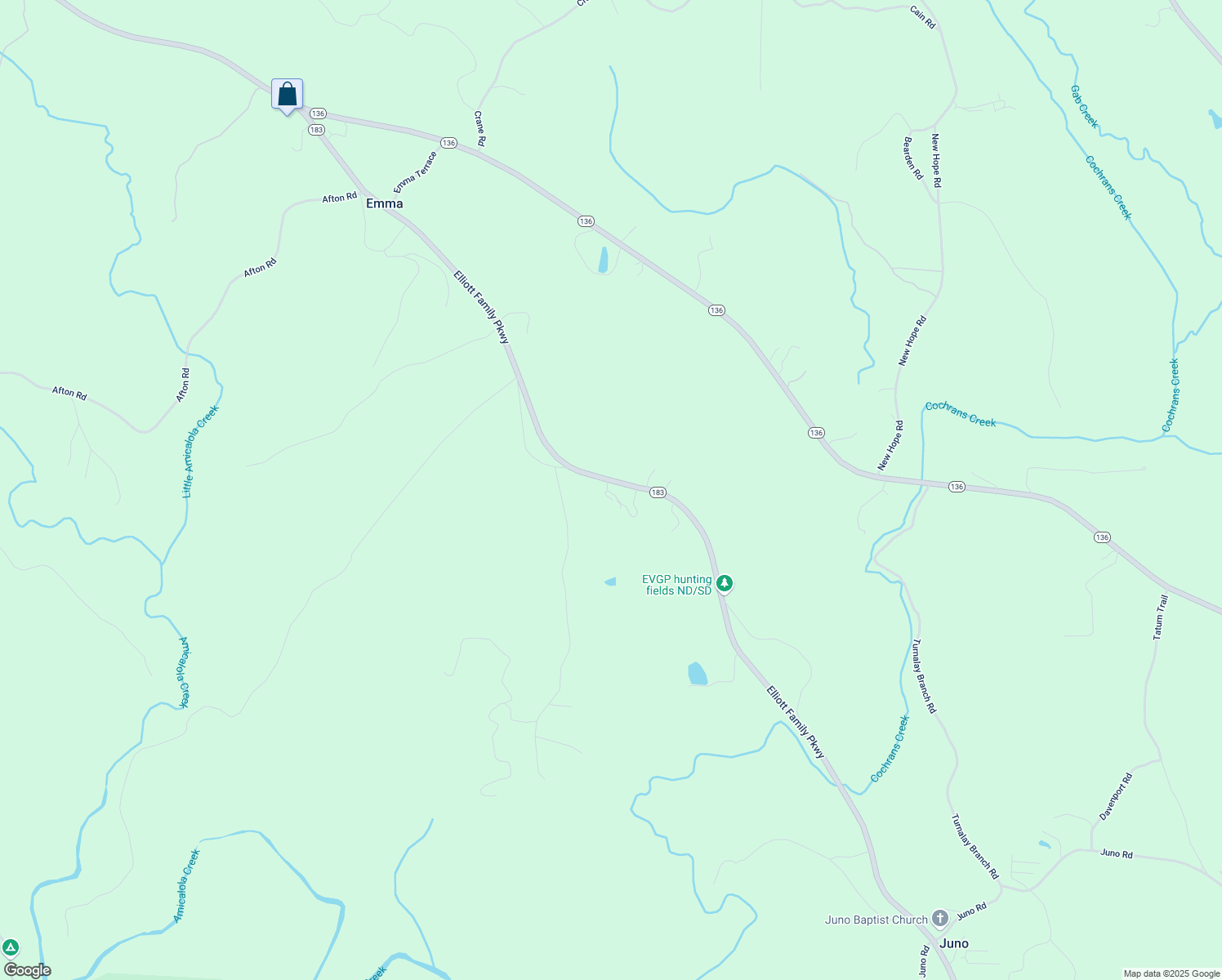 map of restaurants, bars, coffee shops, grocery stores, and more near 6019 Elliott Family Parkway in Dawsonville