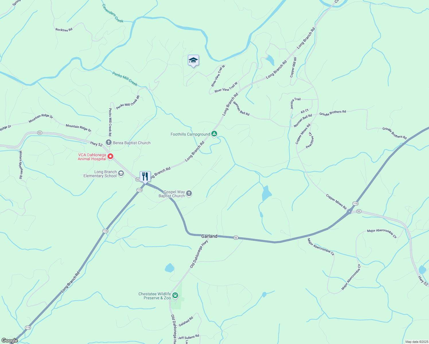 map of restaurants, bars, coffee shops, grocery stores, and more near 490 Lewis Brown Road in Dahlonega