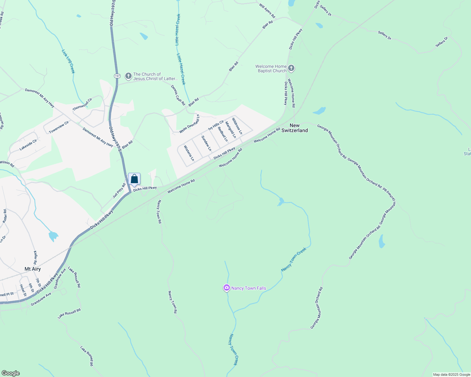 map of restaurants, bars, coffee shops, grocery stores, and more near 203 Russell Woods Dr. in Mount Airy