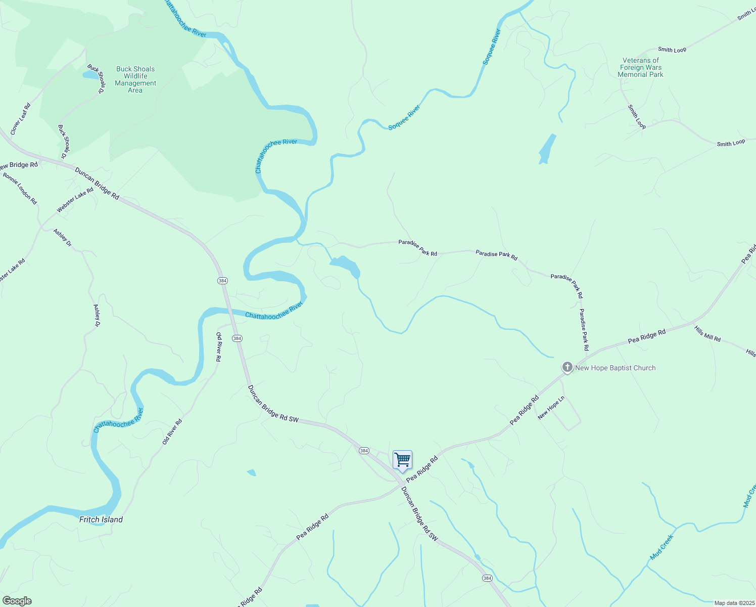map of restaurants, bars, coffee shops, grocery stores, and more near 250 Selah Lane in Cornelia
