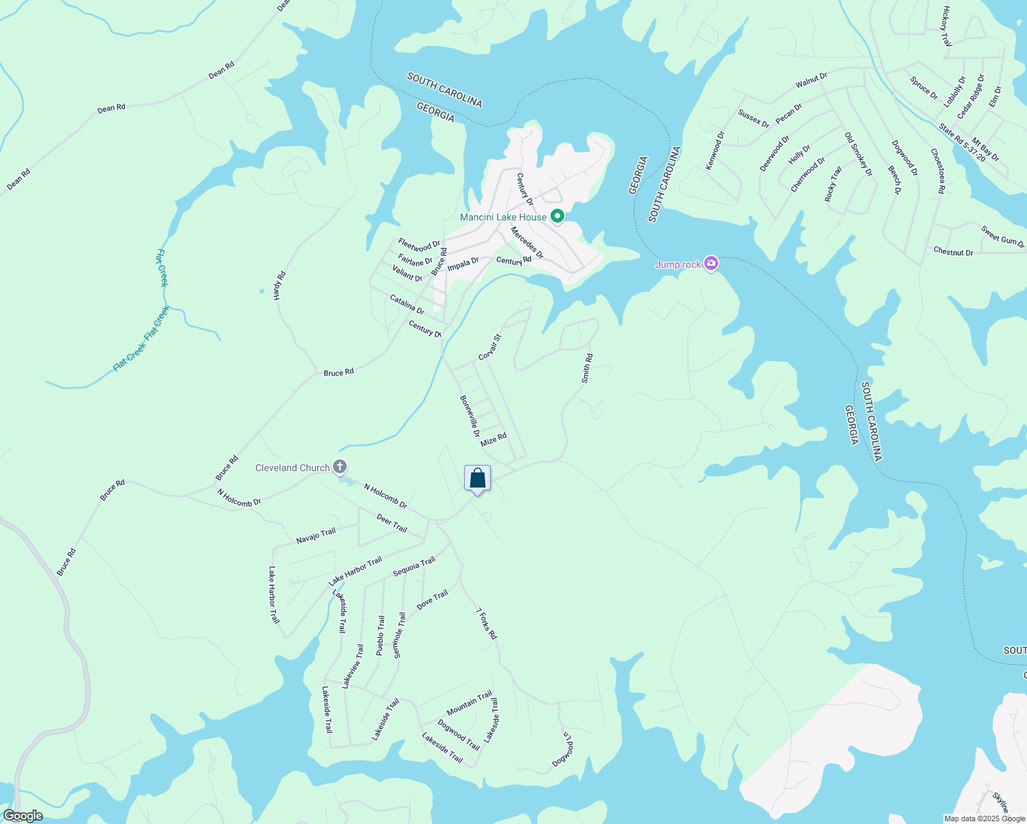 map of restaurants, bars, coffee shops, grocery stores, and more near Brookwood Road in Martin