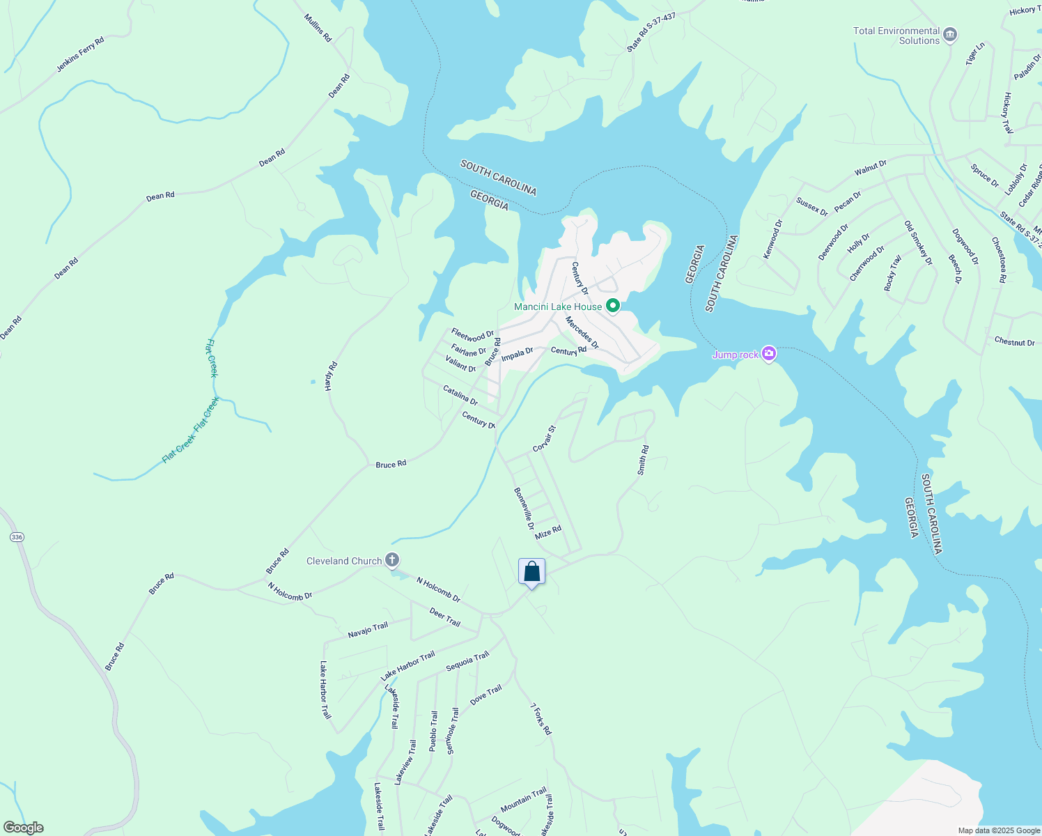 map of restaurants, bars, coffee shops, grocery stores, and more near 244 Century Drive in Martin