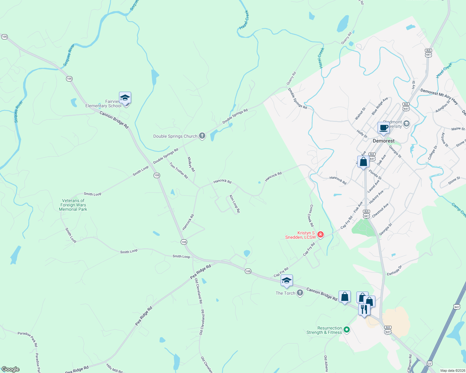 map of restaurants, bars, coffee shops, grocery stores, and more near 834 Hancock Rd in Demorest