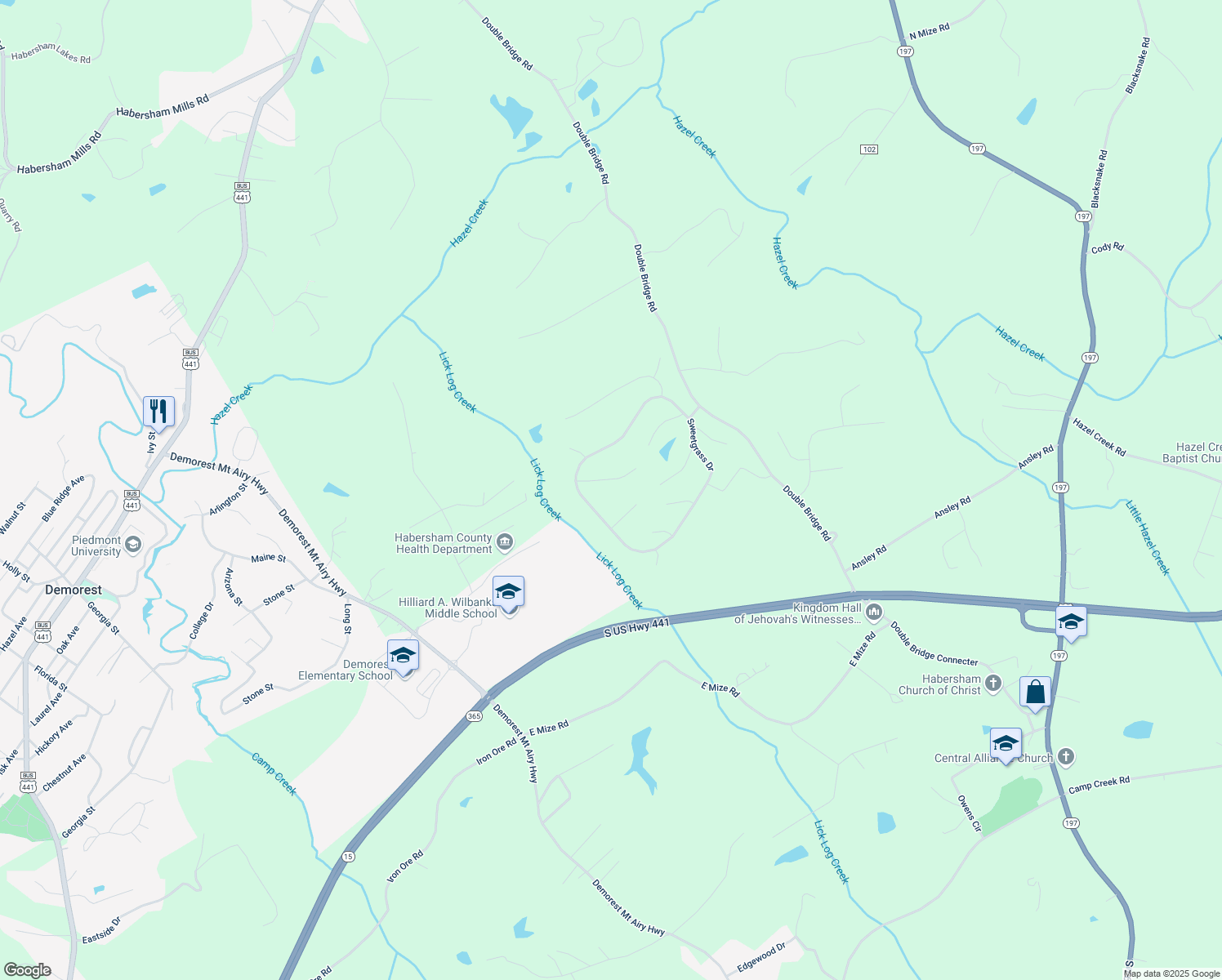 map of restaurants, bars, coffee shops, grocery stores, and more near 1344 Bluegrass Court in Demorest