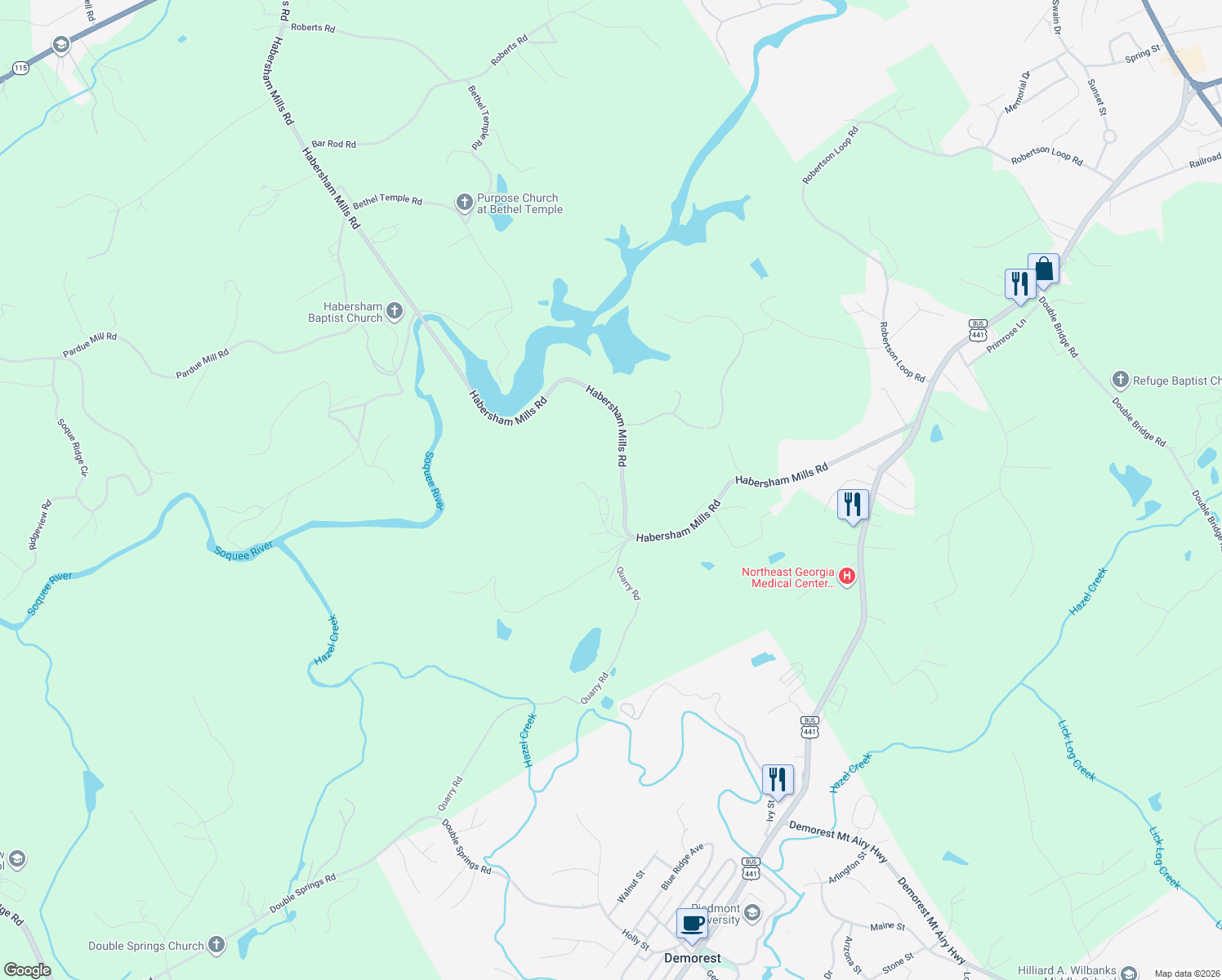 map of restaurants, bars, coffee shops, grocery stores, and more near 298 Smiley York Road in Demorest