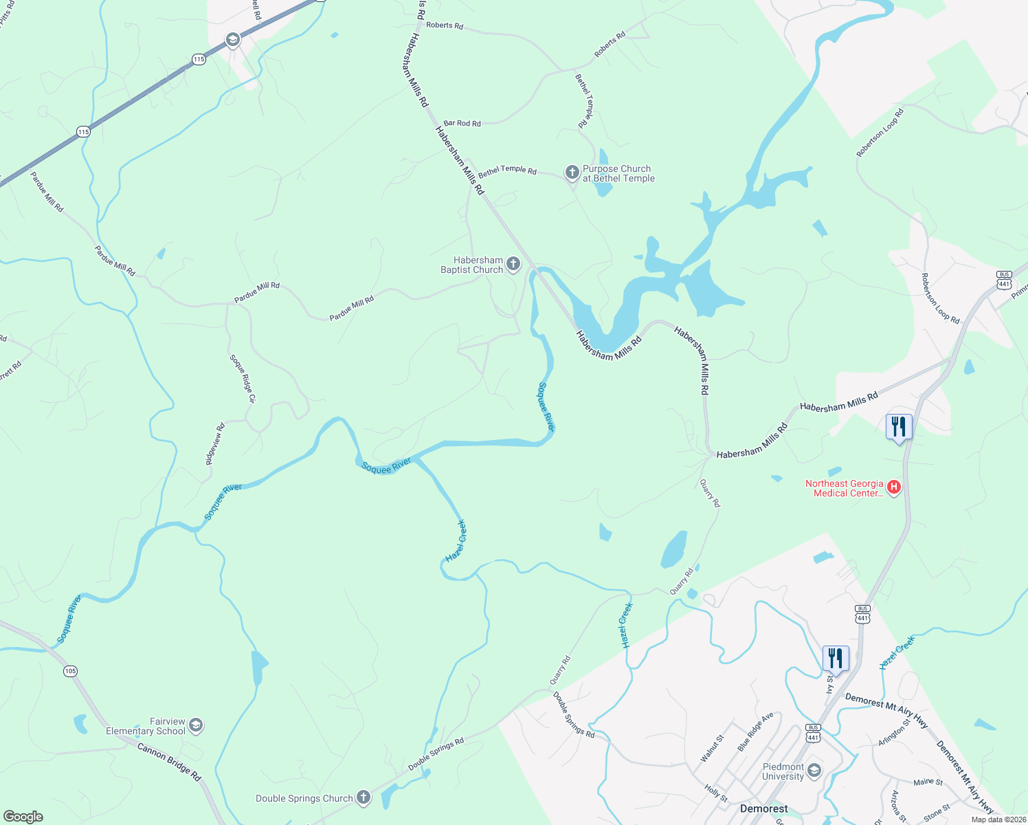 map of restaurants, bars, coffee shops, grocery stores, and more near 225 Lakemont Trail in Demorest