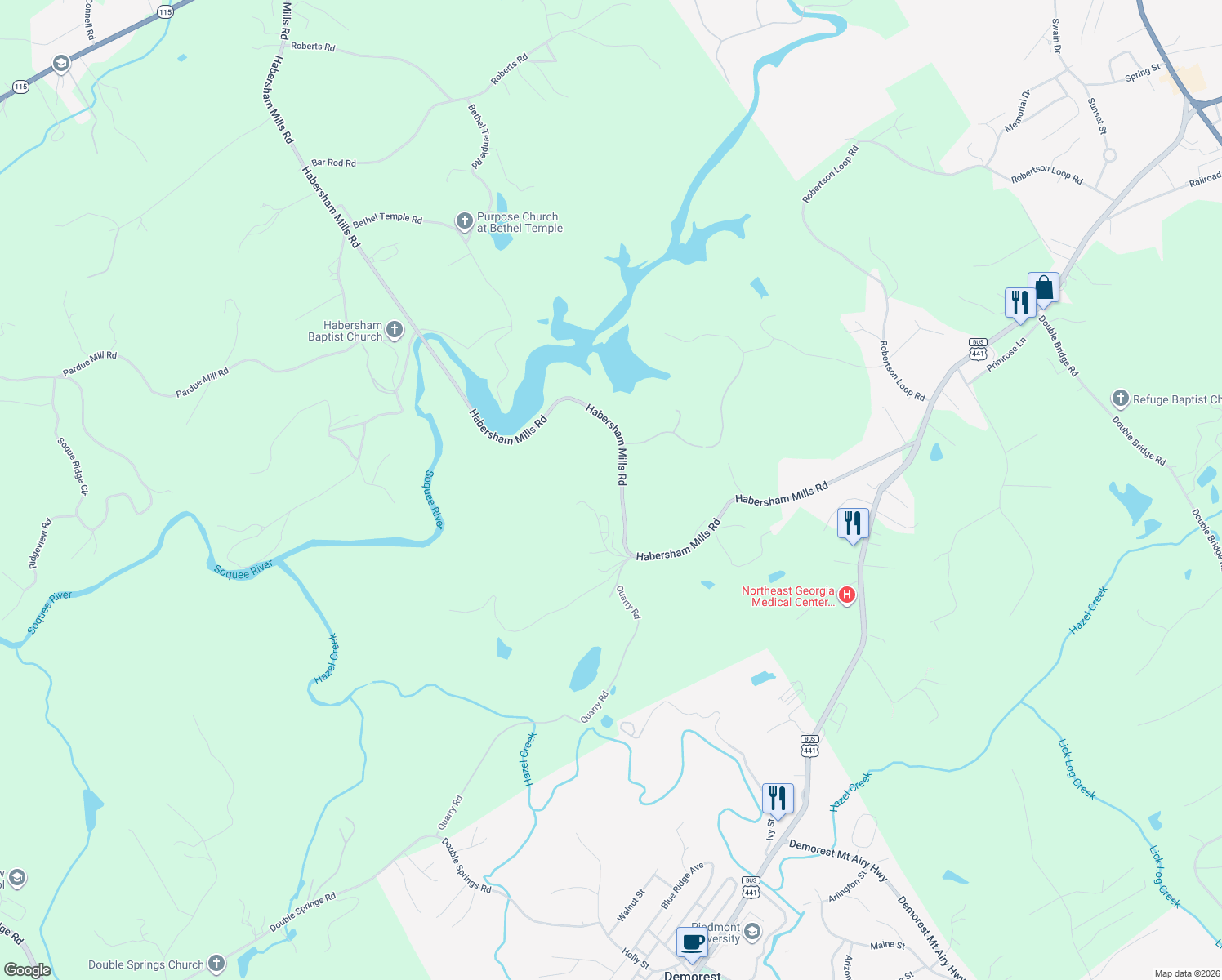 map of restaurants, bars, coffee shops, grocery stores, and more near 298 Smiley York Road in Demorest