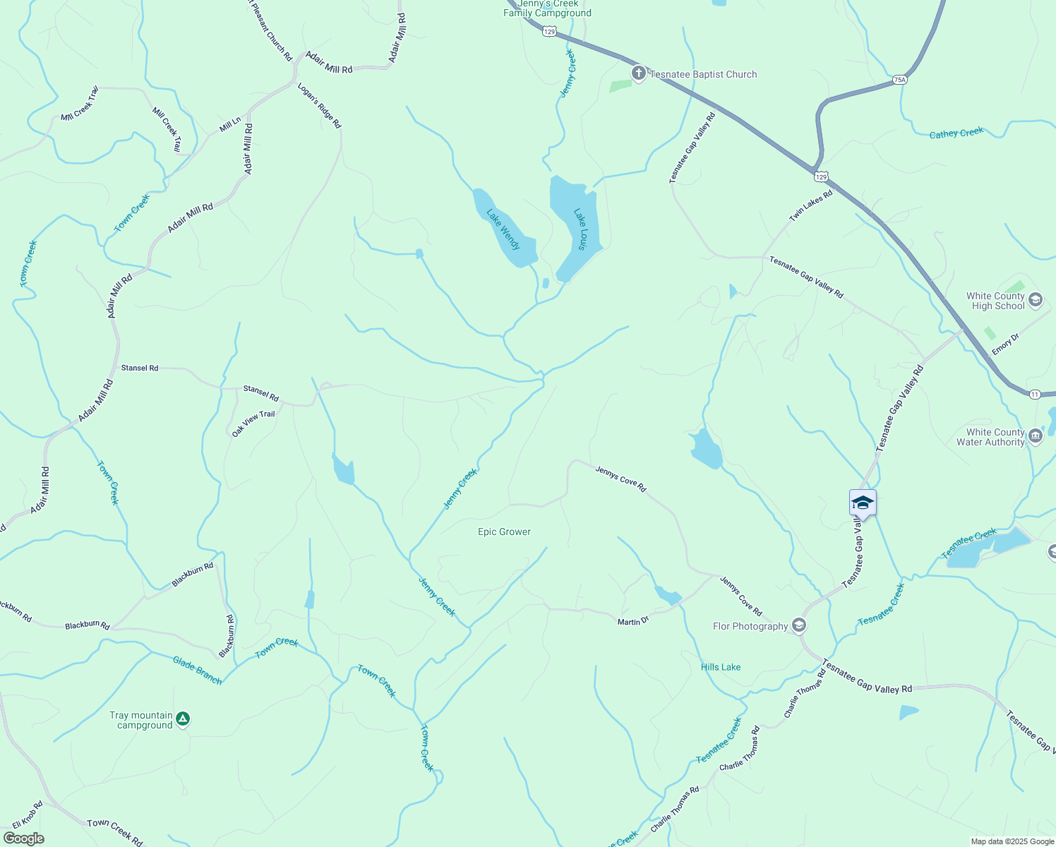 map of restaurants, bars, coffee shops, grocery stores, and more near 157 Beechwood Drive in Cleveland