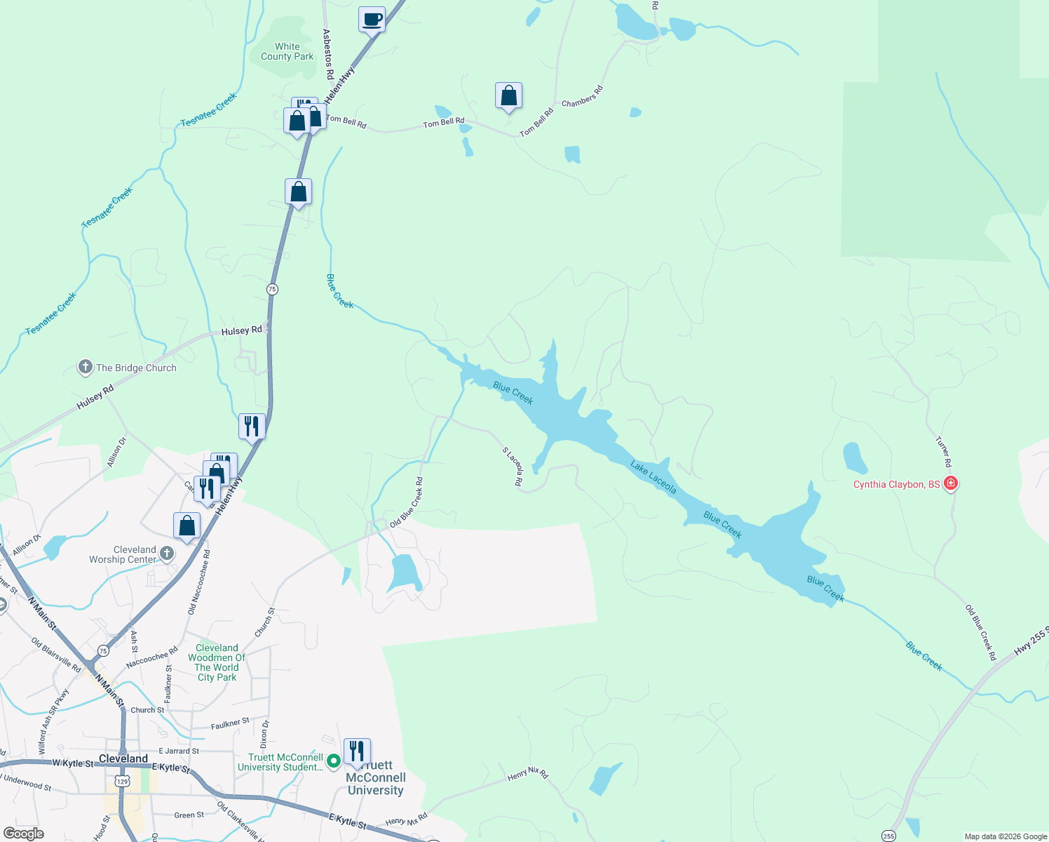 map of restaurants, bars, coffee shops, grocery stores, and more near 307 Lake Laceola Drive in Cleveland