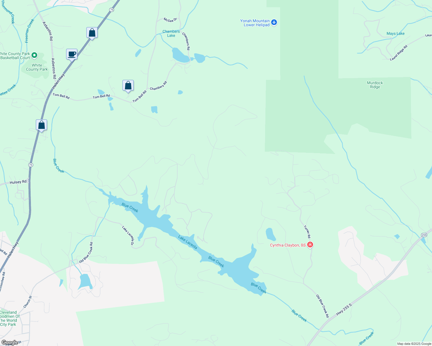 map of restaurants, bars, coffee shops, grocery stores, and more near 54 Mountainside Drive in Cleveland