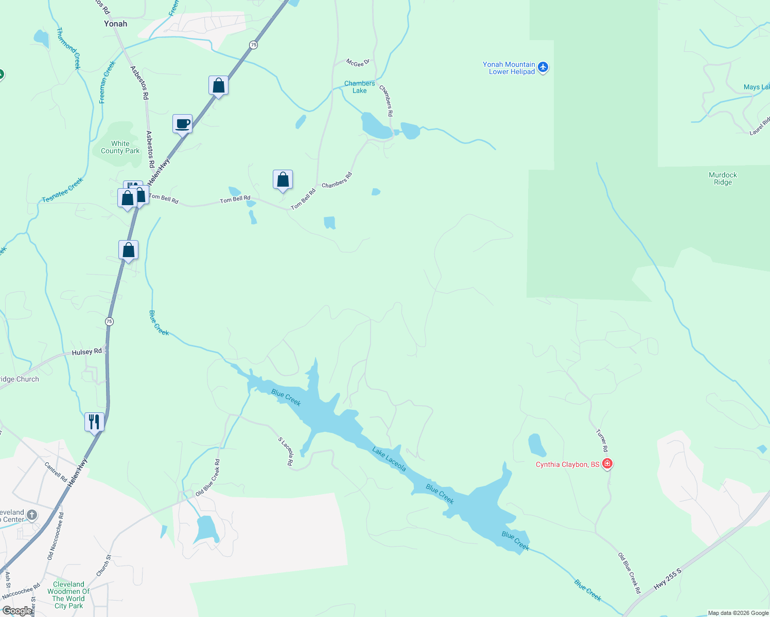 map of restaurants, bars, coffee shops, grocery stores, and more near 119 Mountainside Drive in Cleveland