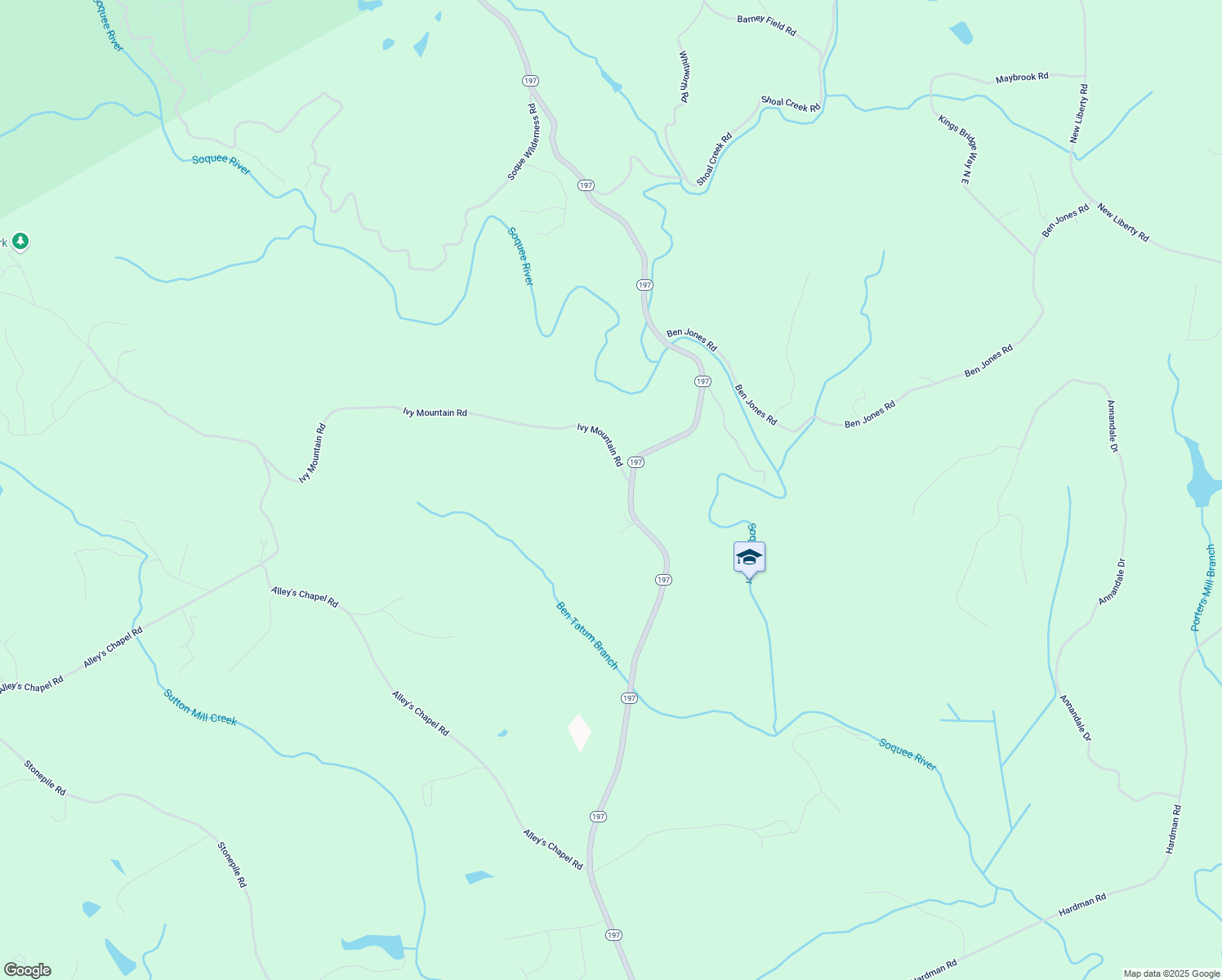 map of restaurants, bars, coffee shops, grocery stores, and more near 3843 State Highway 197 in Clarkesville