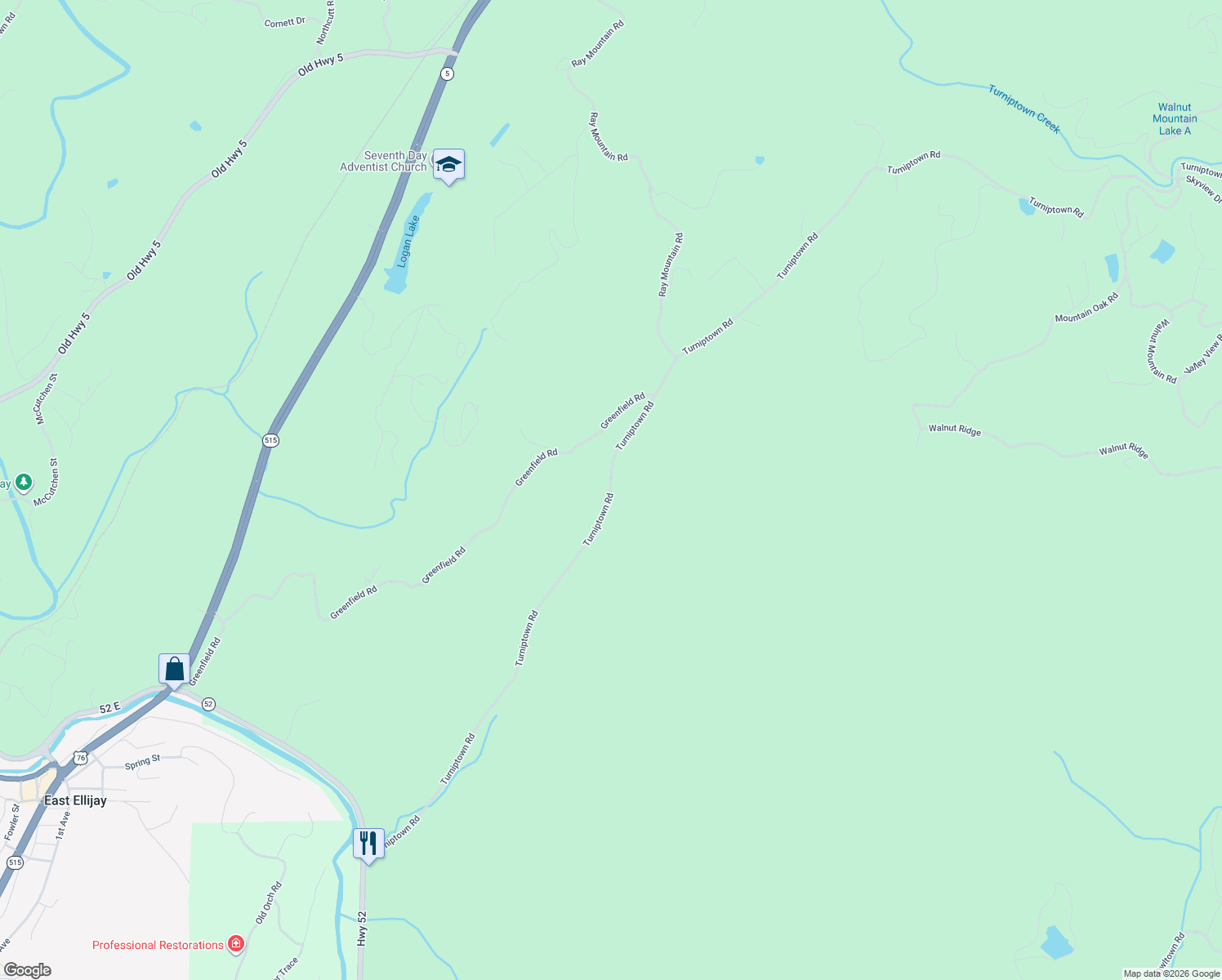 map of restaurants, bars, coffee shops, grocery stores, and more near 1393 Turniptown Road in Ellijay