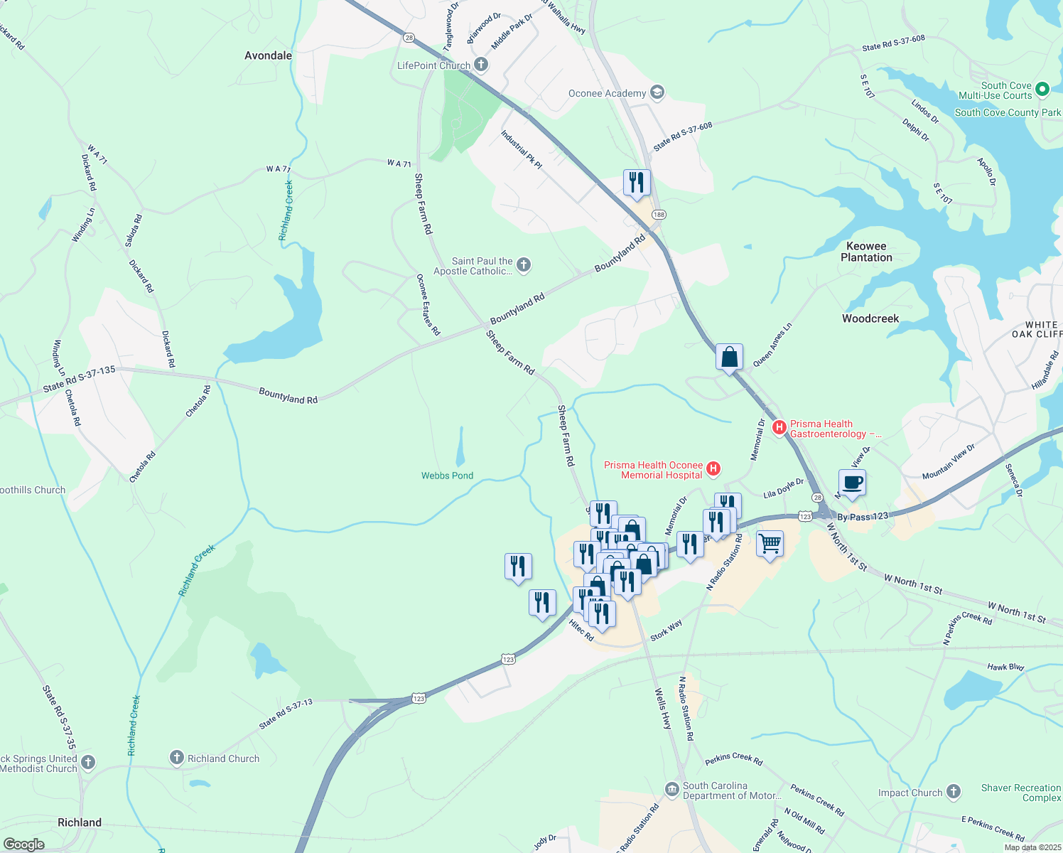 map of restaurants, bars, coffee shops, grocery stores, and more near 207 Stonebrook Dr in Seneca