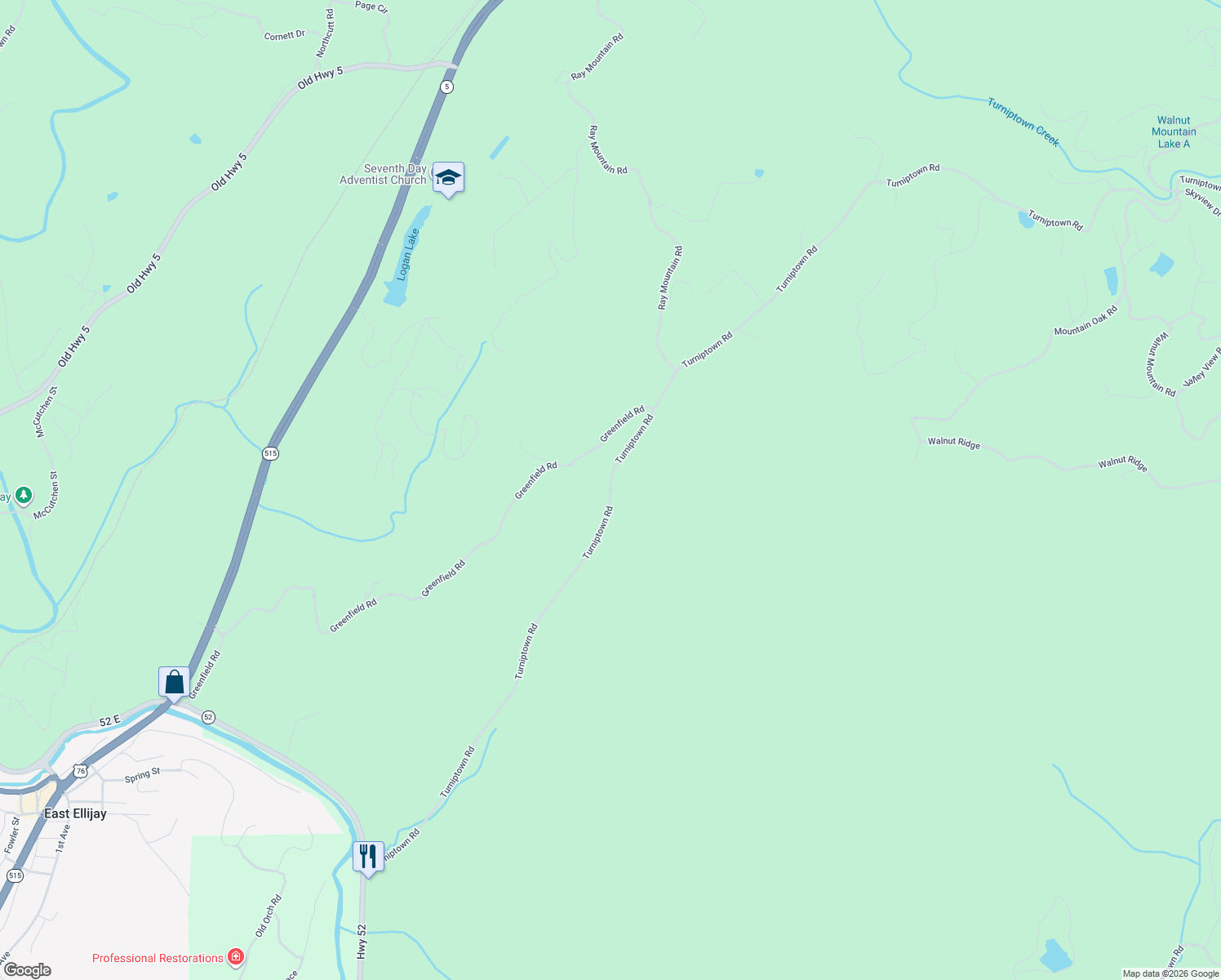 map of restaurants, bars, coffee shops, grocery stores, and more near 1393 Turniptown Road in Ellijay
