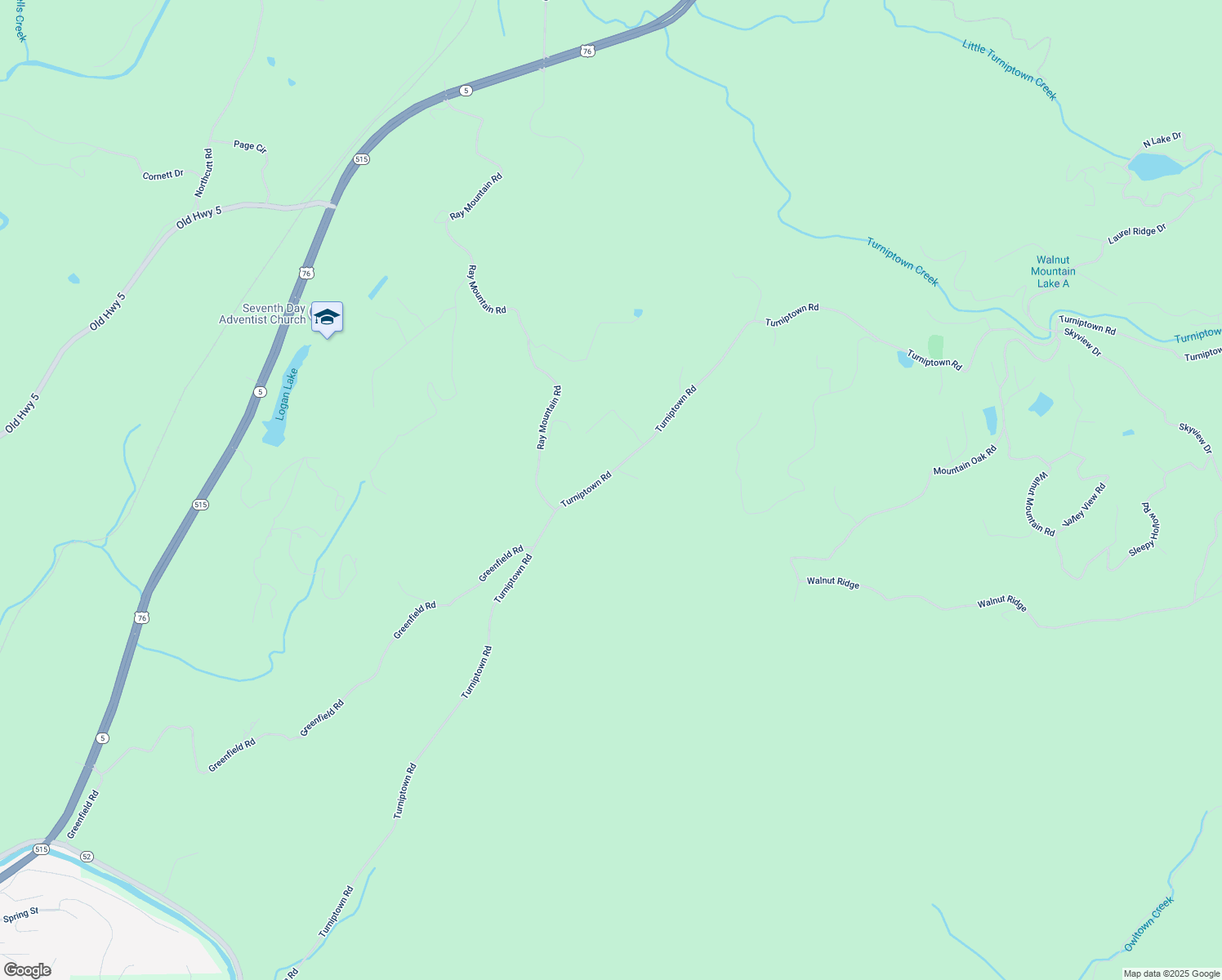 map of restaurants, bars, coffee shops, grocery stores, and more near Turniptown Road in Ellijay