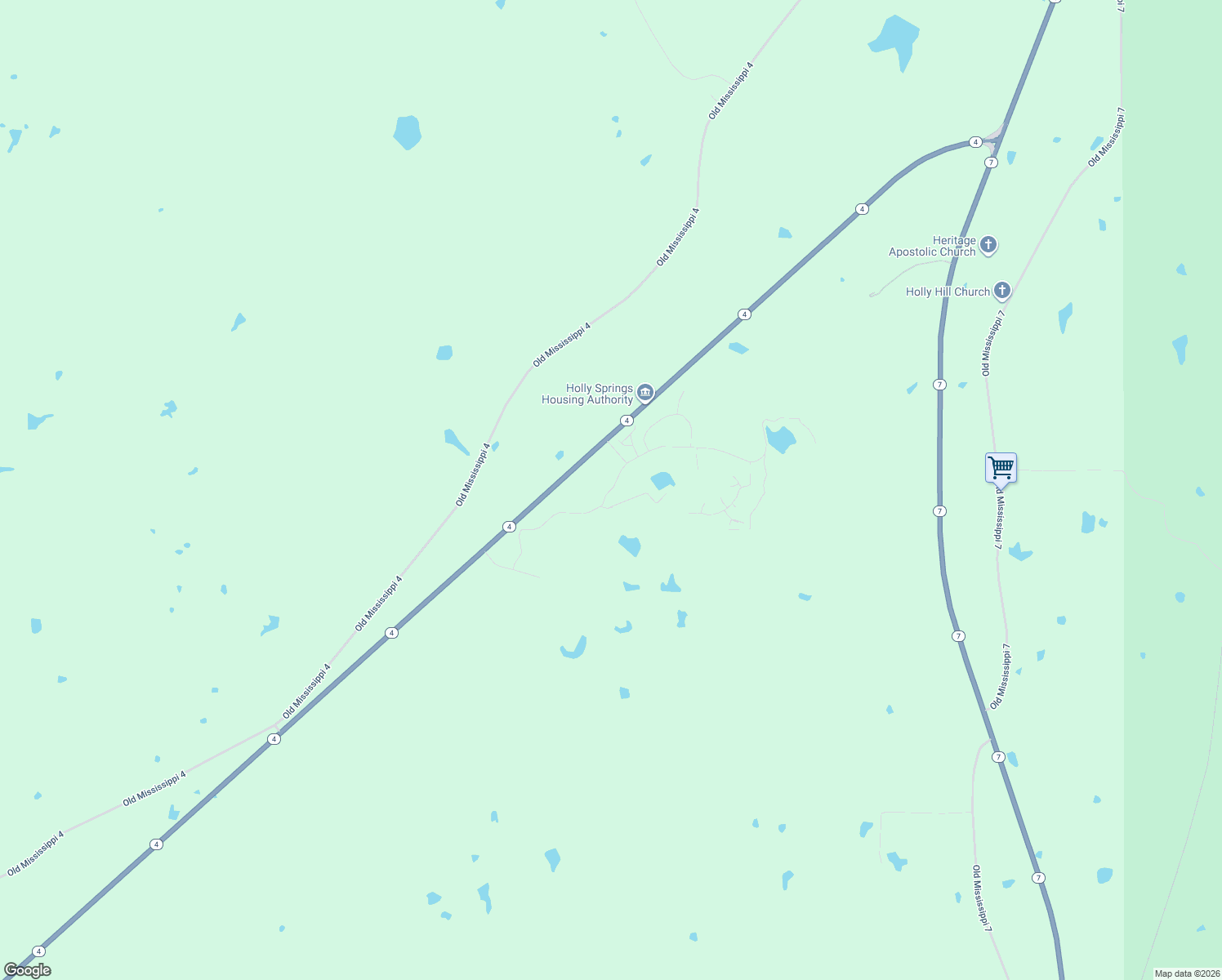 map of restaurants, bars, coffee shops, grocery stores, and more near 77 Palmer Lane in Holly Springs