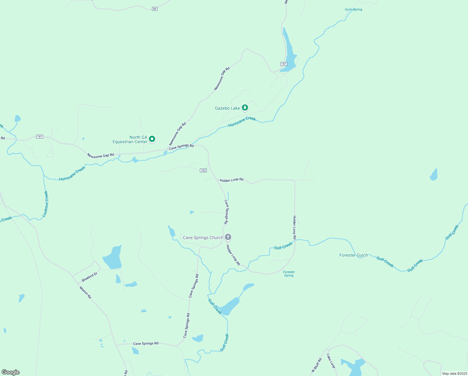 map of restaurants, bars, coffee shops, grocery stores, and more near 206 Holder Loop in Rising Fawn