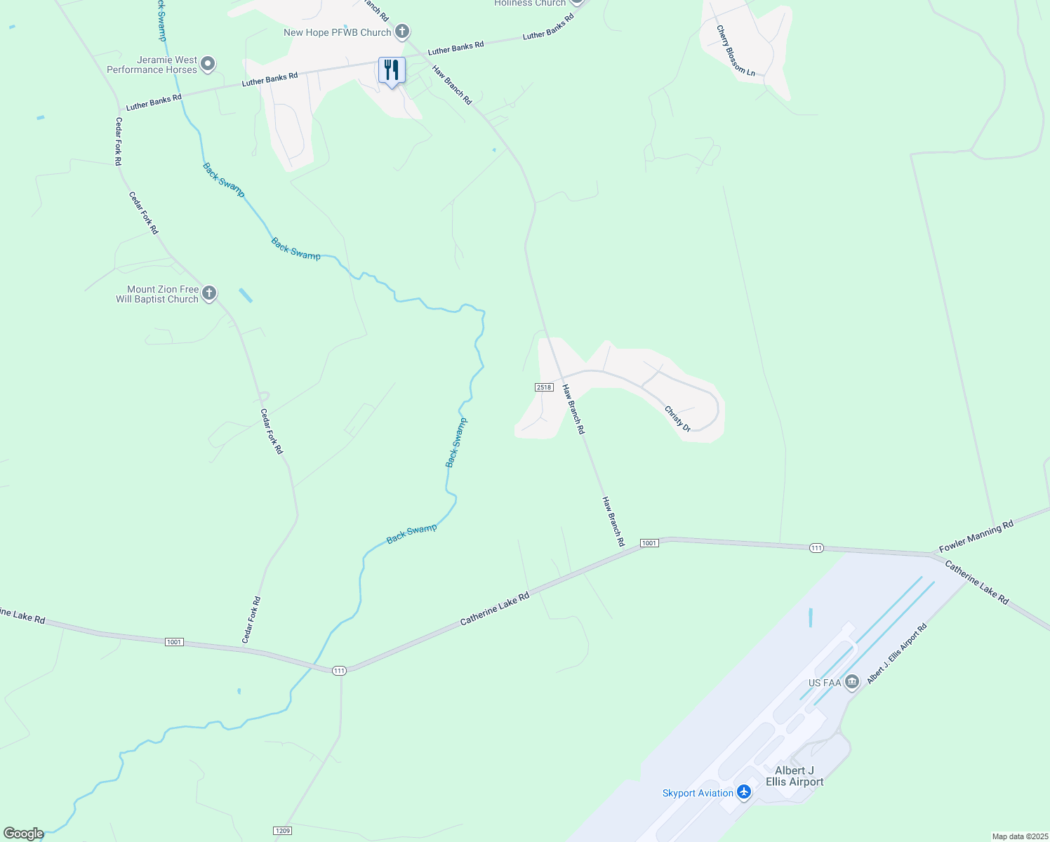 map of restaurants, bars, coffee shops, grocery stores, and more near 112 Willard Way in Beulaville
