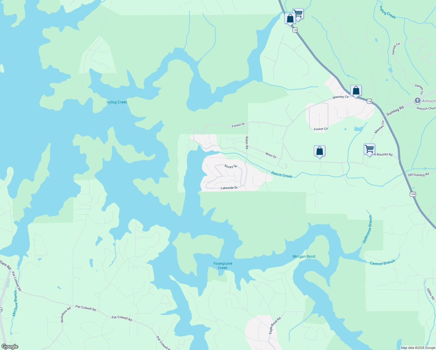 map of restaurants, bars, coffee shops, grocery stores, and more near 4935 Bass Ridge Drive in Blairsville