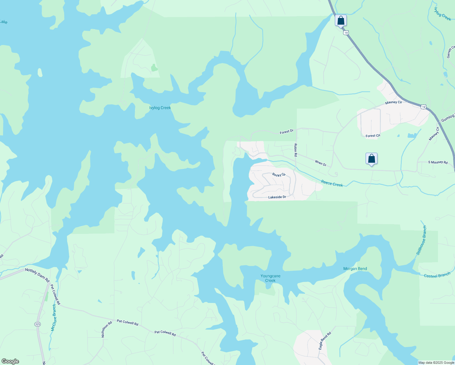 map of restaurants, bars, coffee shops, grocery stores, and more near 5404 Forest Drive in Blairsville
