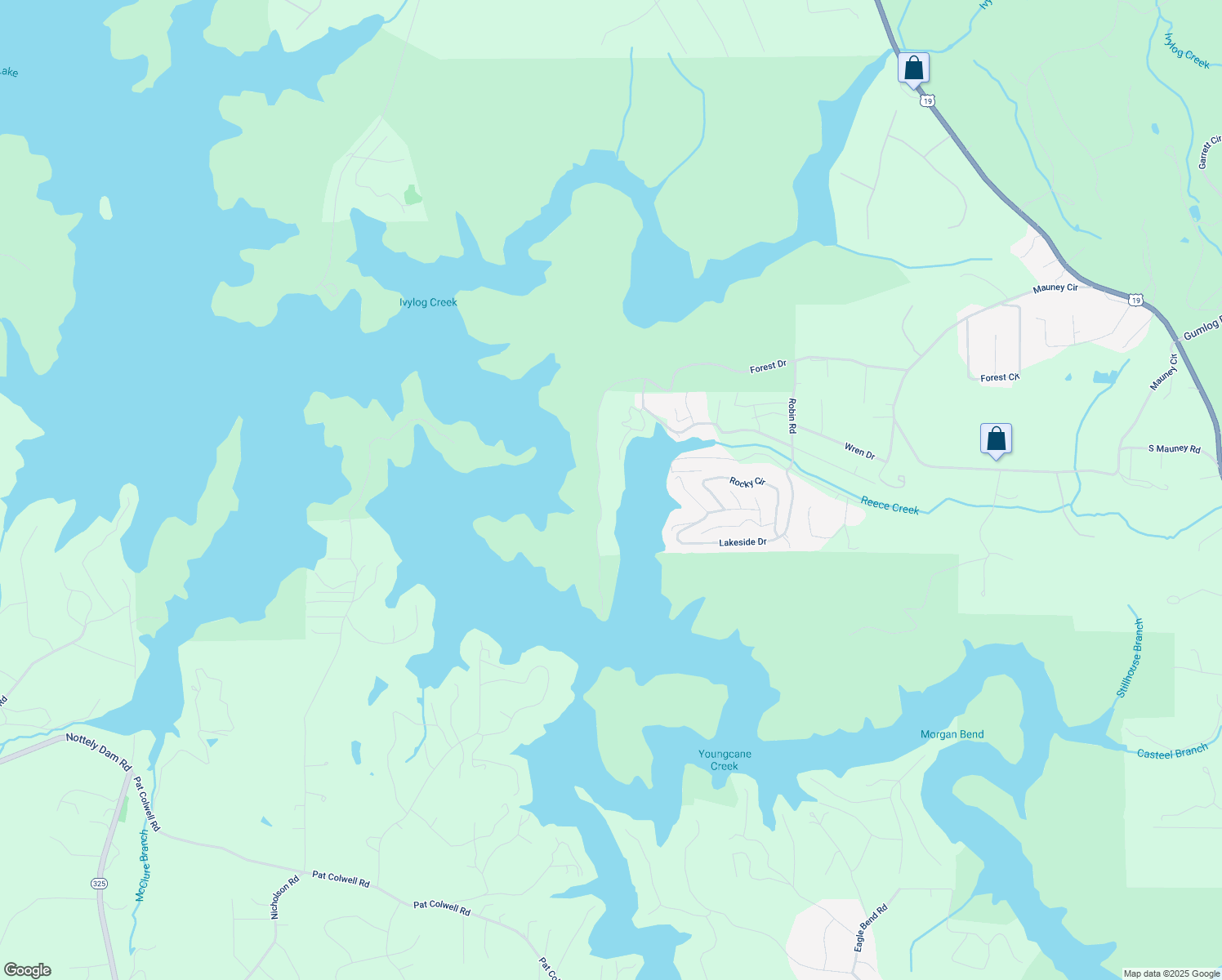 map of restaurants, bars, coffee shops, grocery stores, and more near 5404 Forest Drive in Blairsville