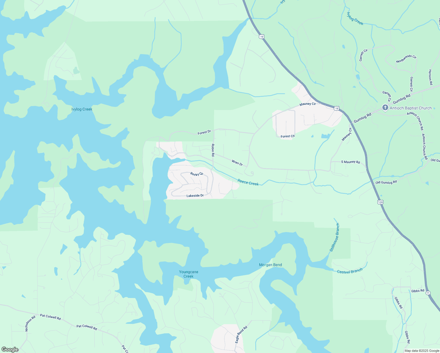 map of restaurants, bars, coffee shops, grocery stores, and more near 4662 Reece Creek Road East in Blairsville