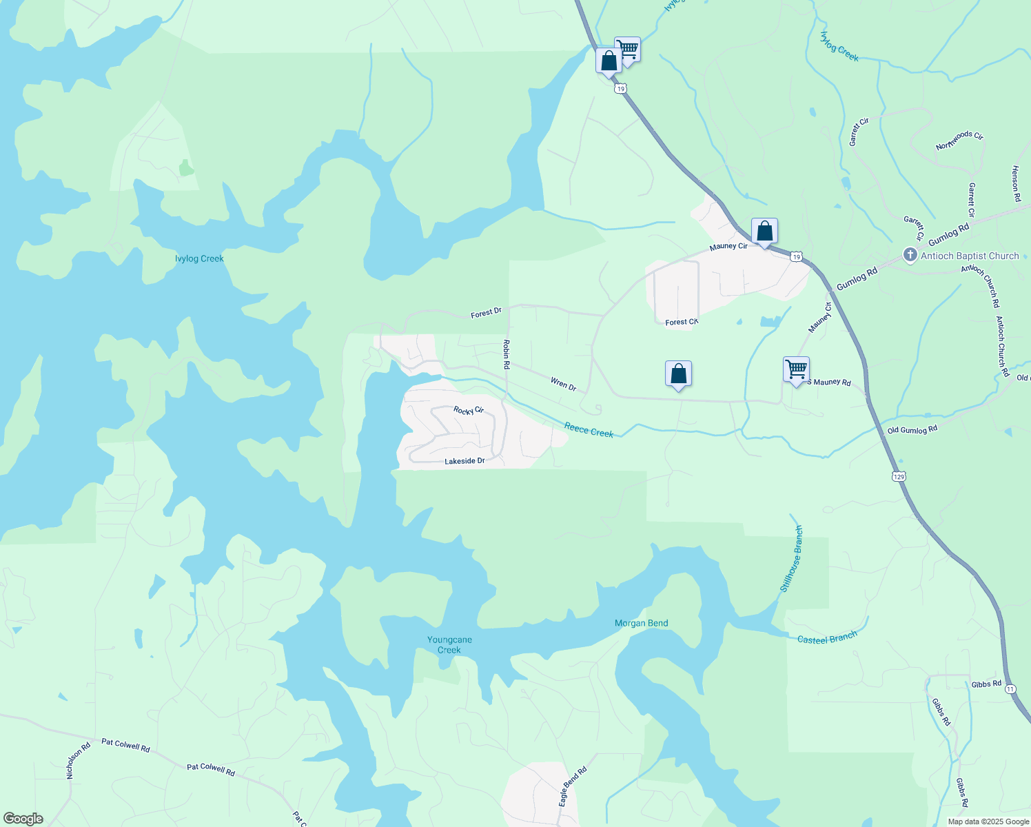 map of restaurants, bars, coffee shops, grocery stores, and more near 4662 Reece Creek Road East in Blairsville