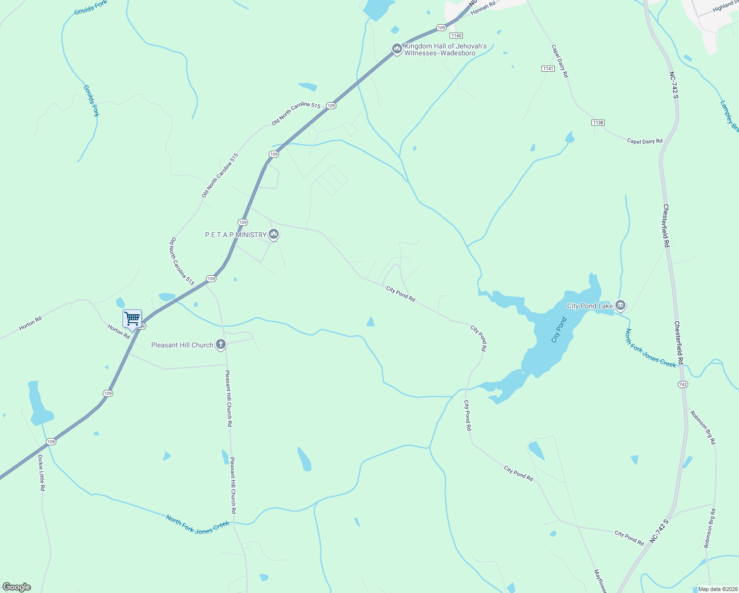 map of restaurants, bars, coffee shops, grocery stores, and more near 585 City Pond Road in Wadesboro